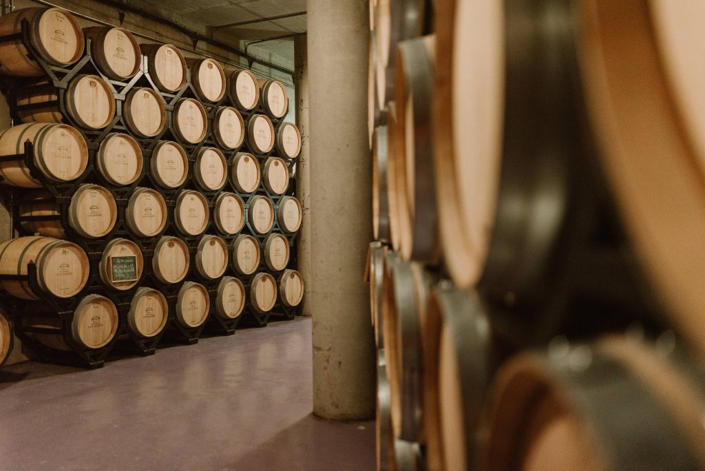 Winery visit and tasting