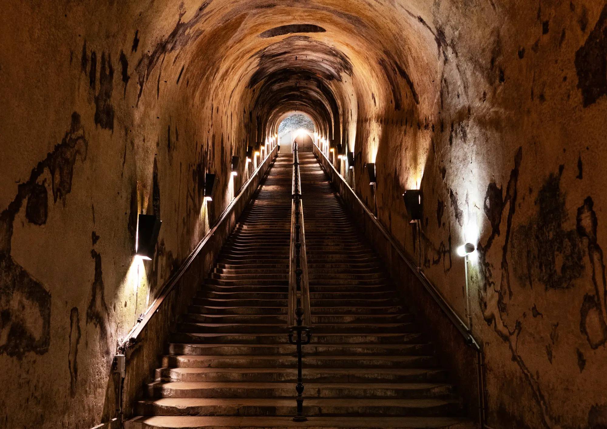 Guided tour: The genius of Madame Pommery