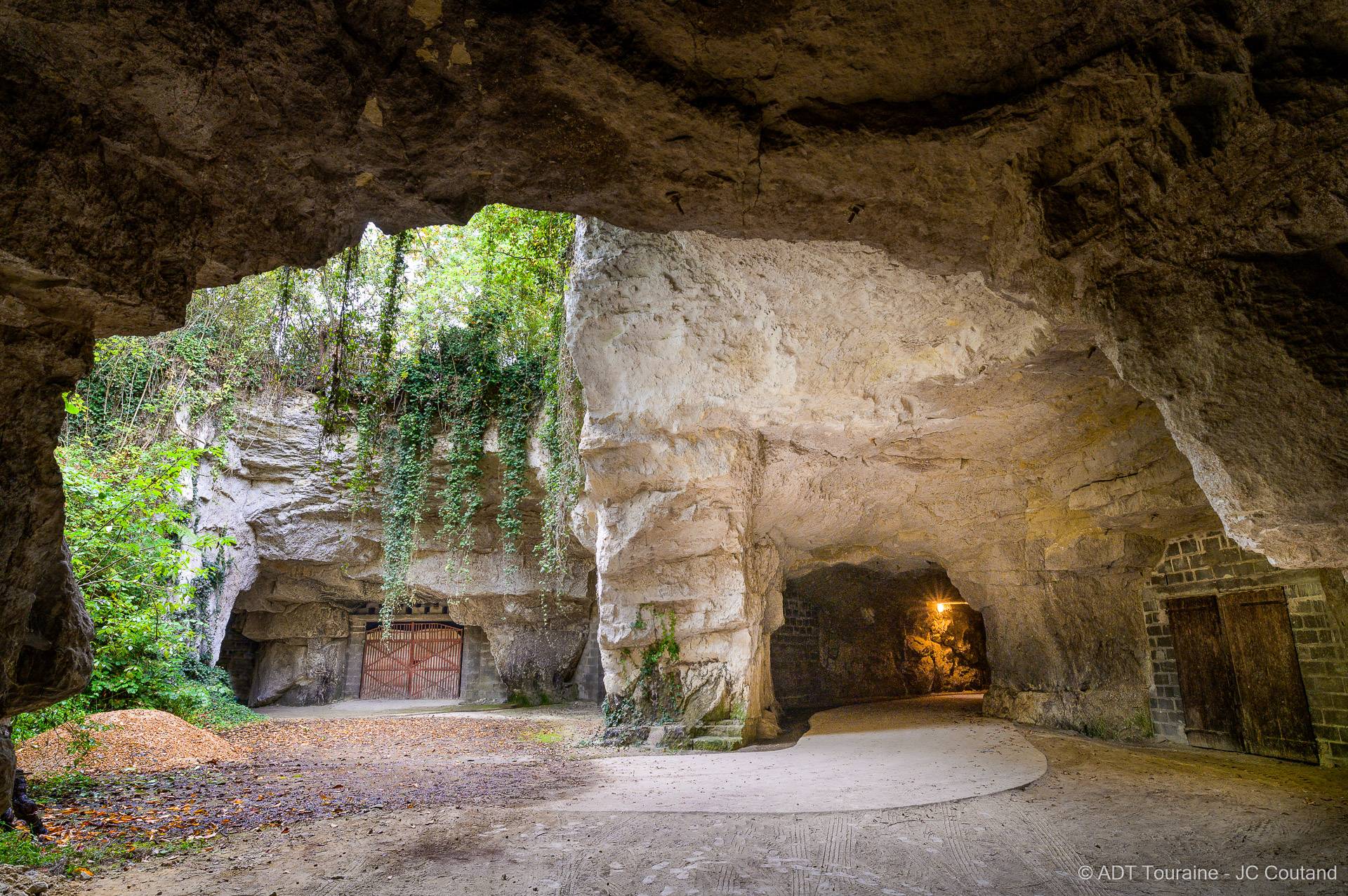 Journey to the center of the cellar