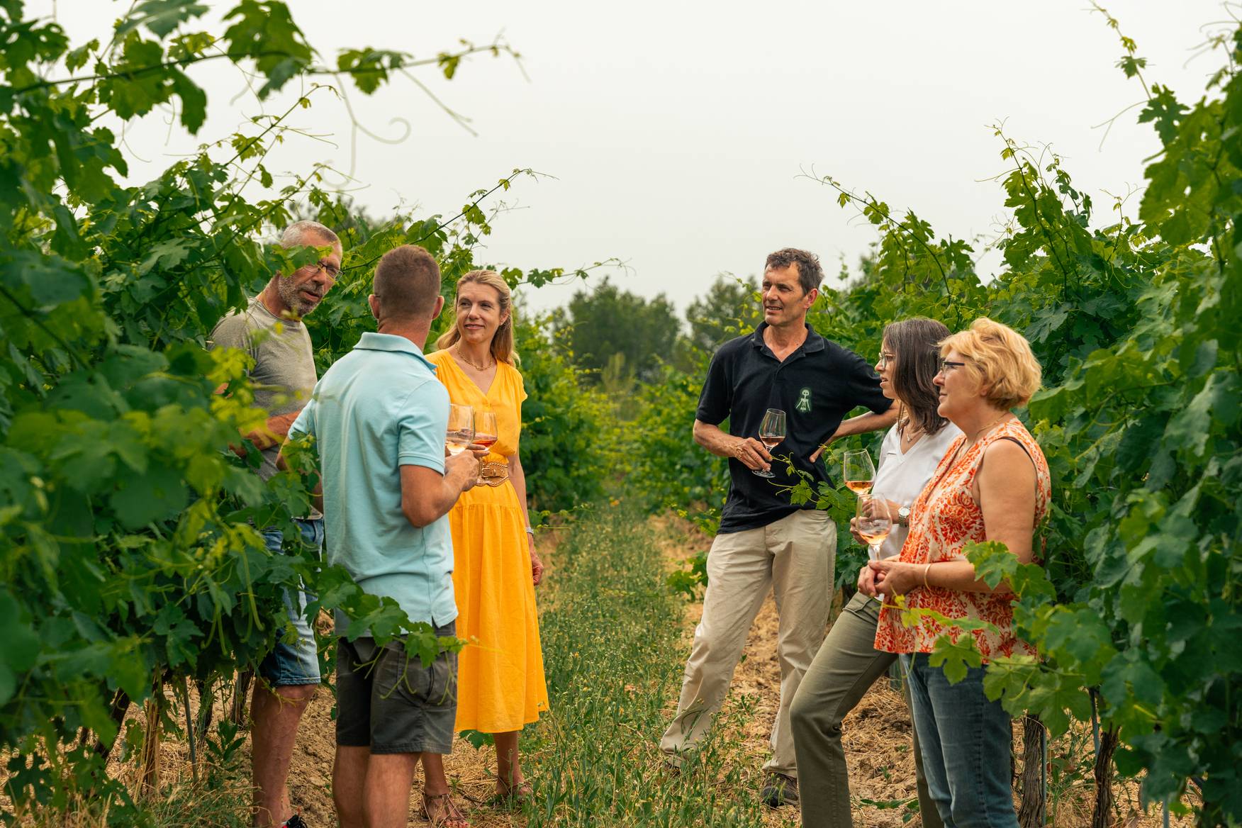 Landscape and wines of the estate