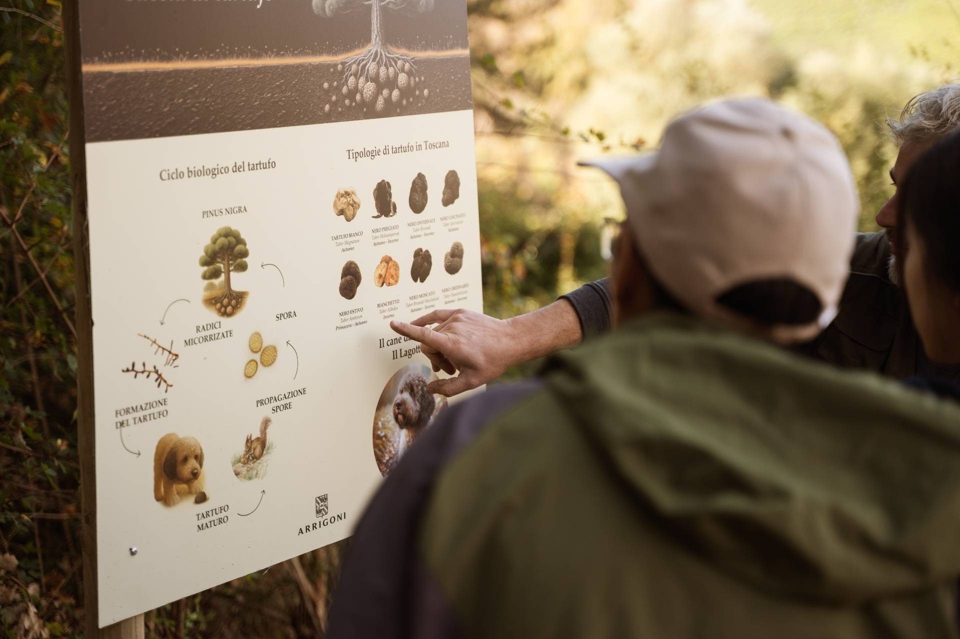 Truffle hunting with a tasting of 4 wines