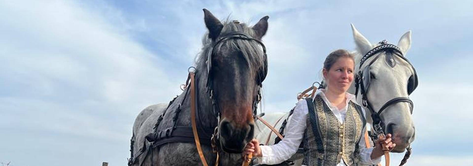 Discovery of the vineyard in a vintage carriage