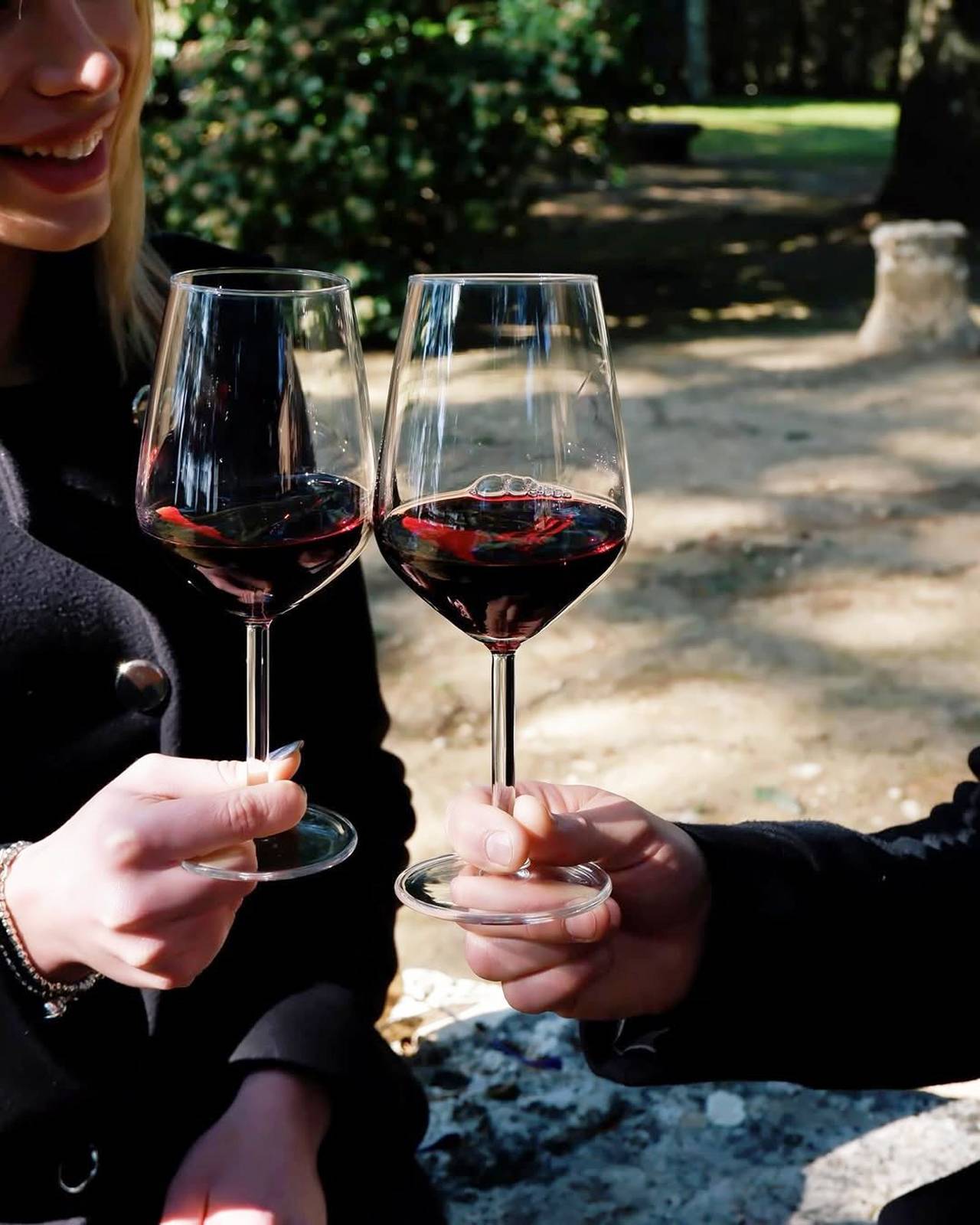 Wine & Food Experience 4 dishes paired with 7 wines