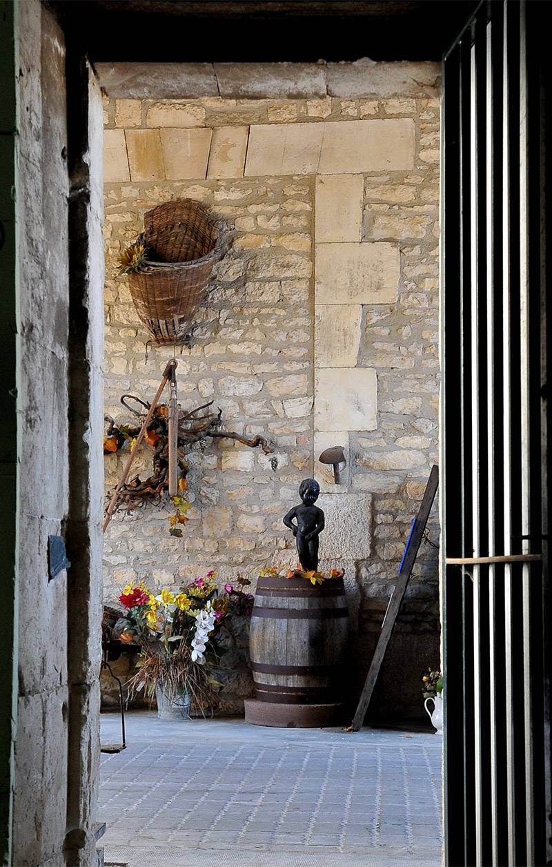 Cellar descent visit