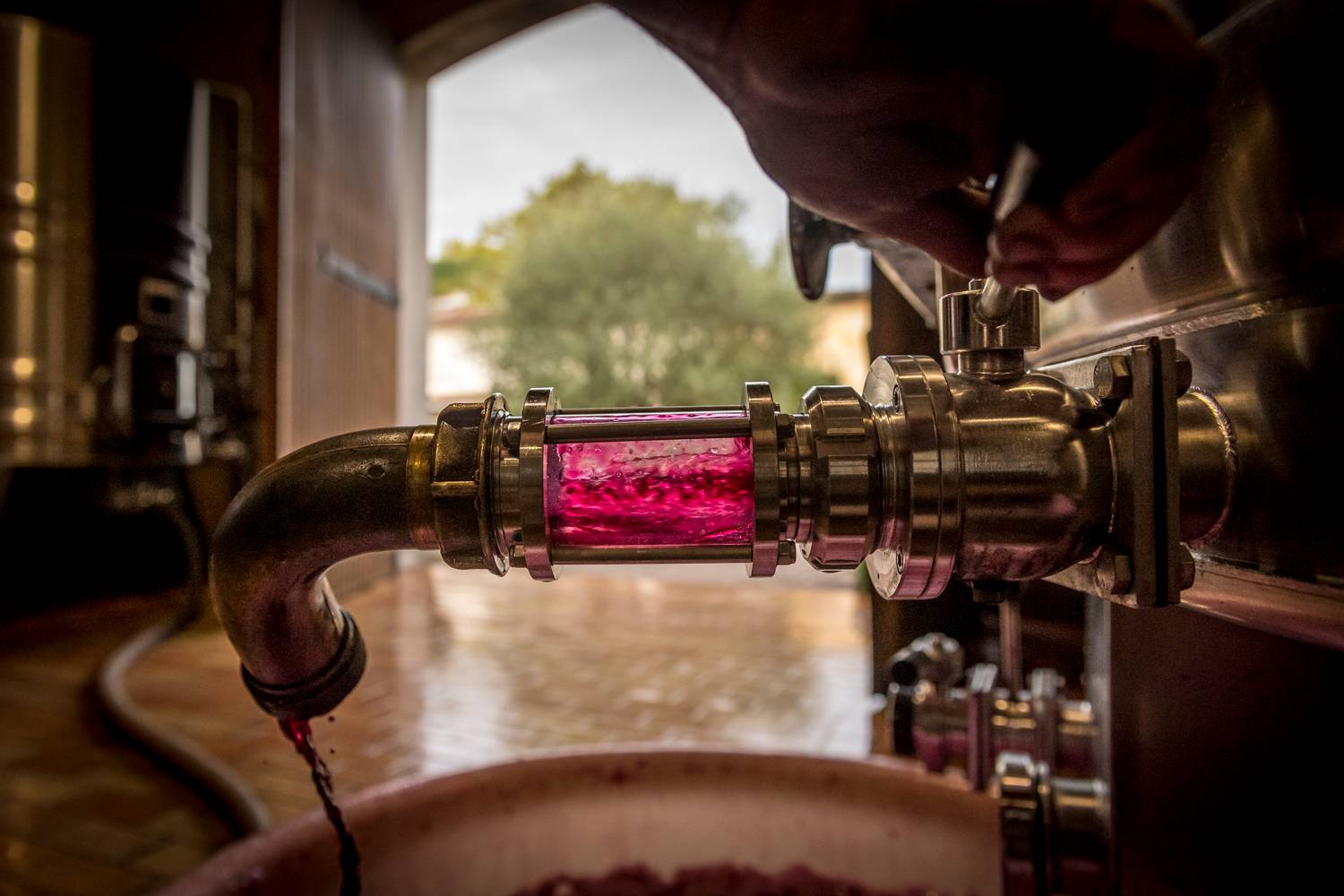 Invitation to discovery