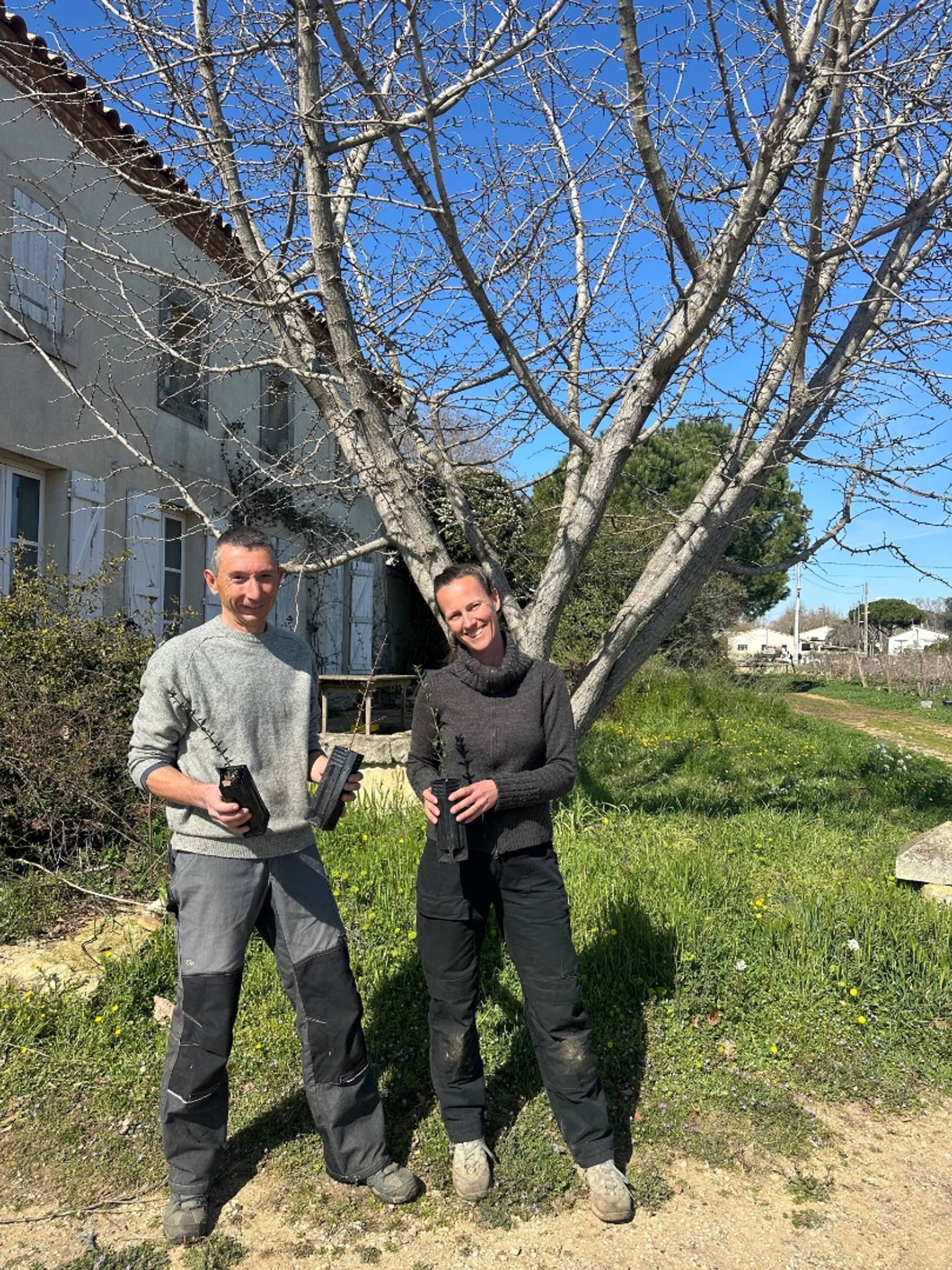 Discover the world of trees with 2 nurserymen