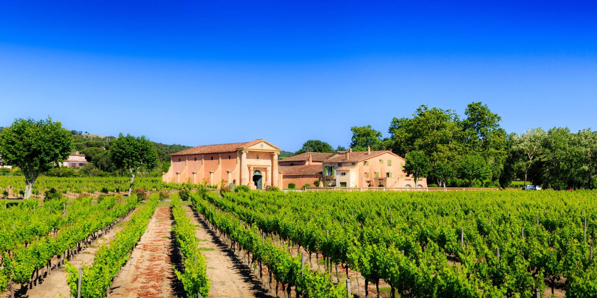 DOMAINE BERTAUD BELIEU