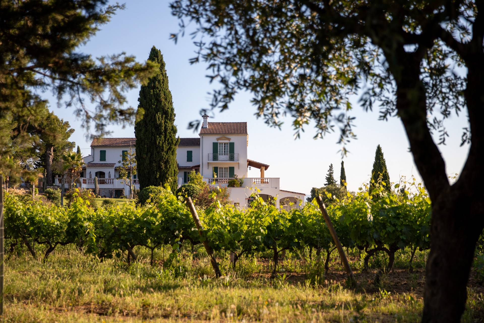 Discovery of a biodynamic wine estate (« Visite oenoludique »)