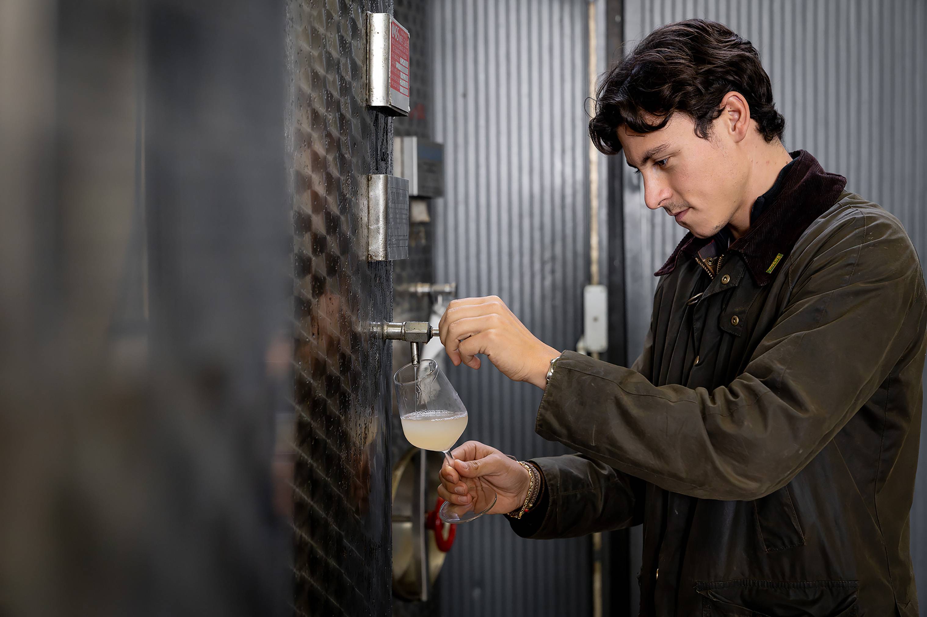 Volcanic wines, terroir of Lake Bolsena