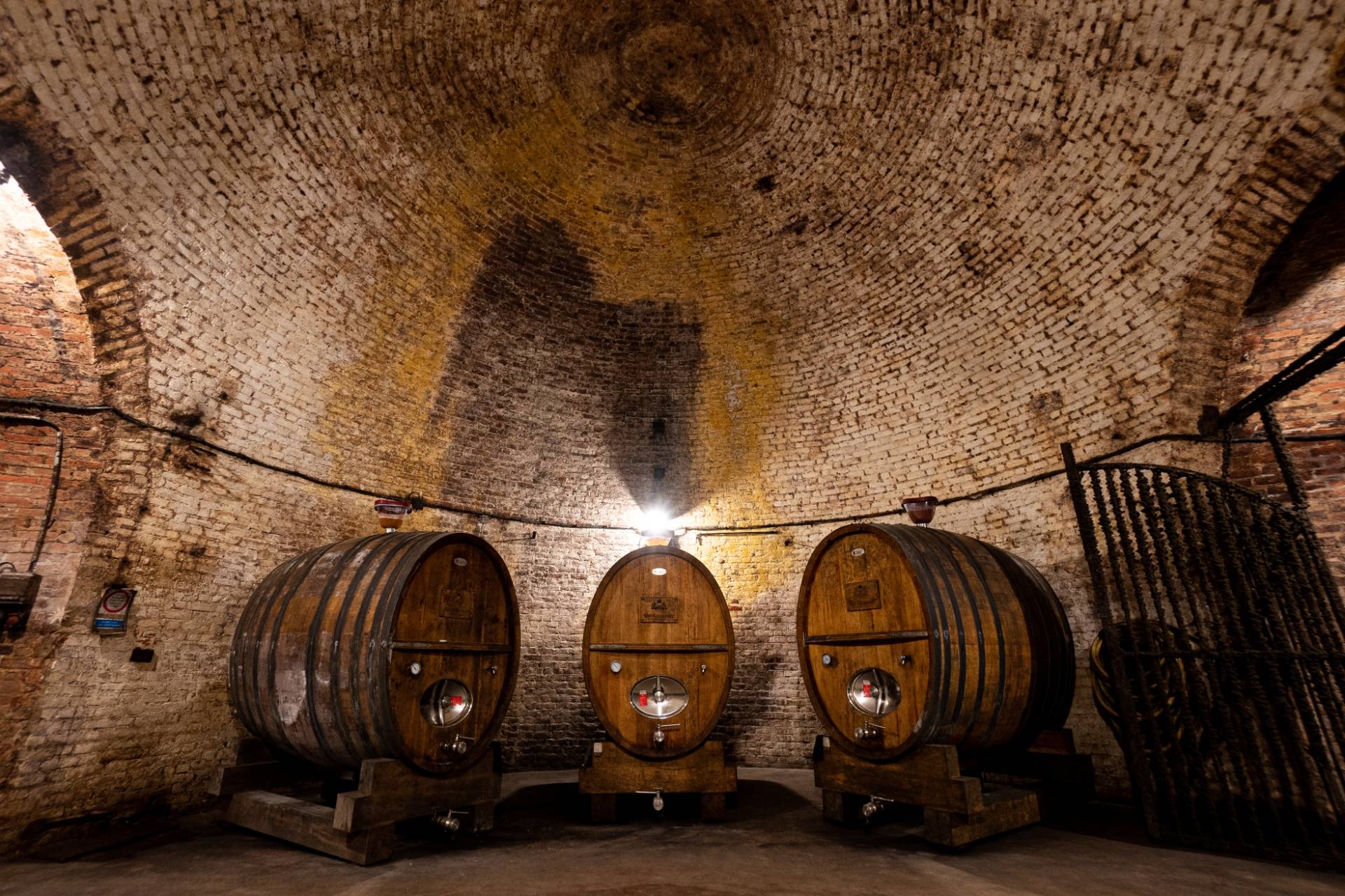 Awakening the senses