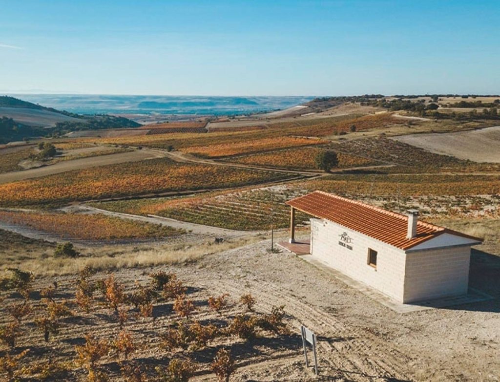 Journey to the origin