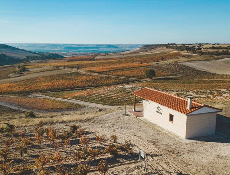 Journey to the origin