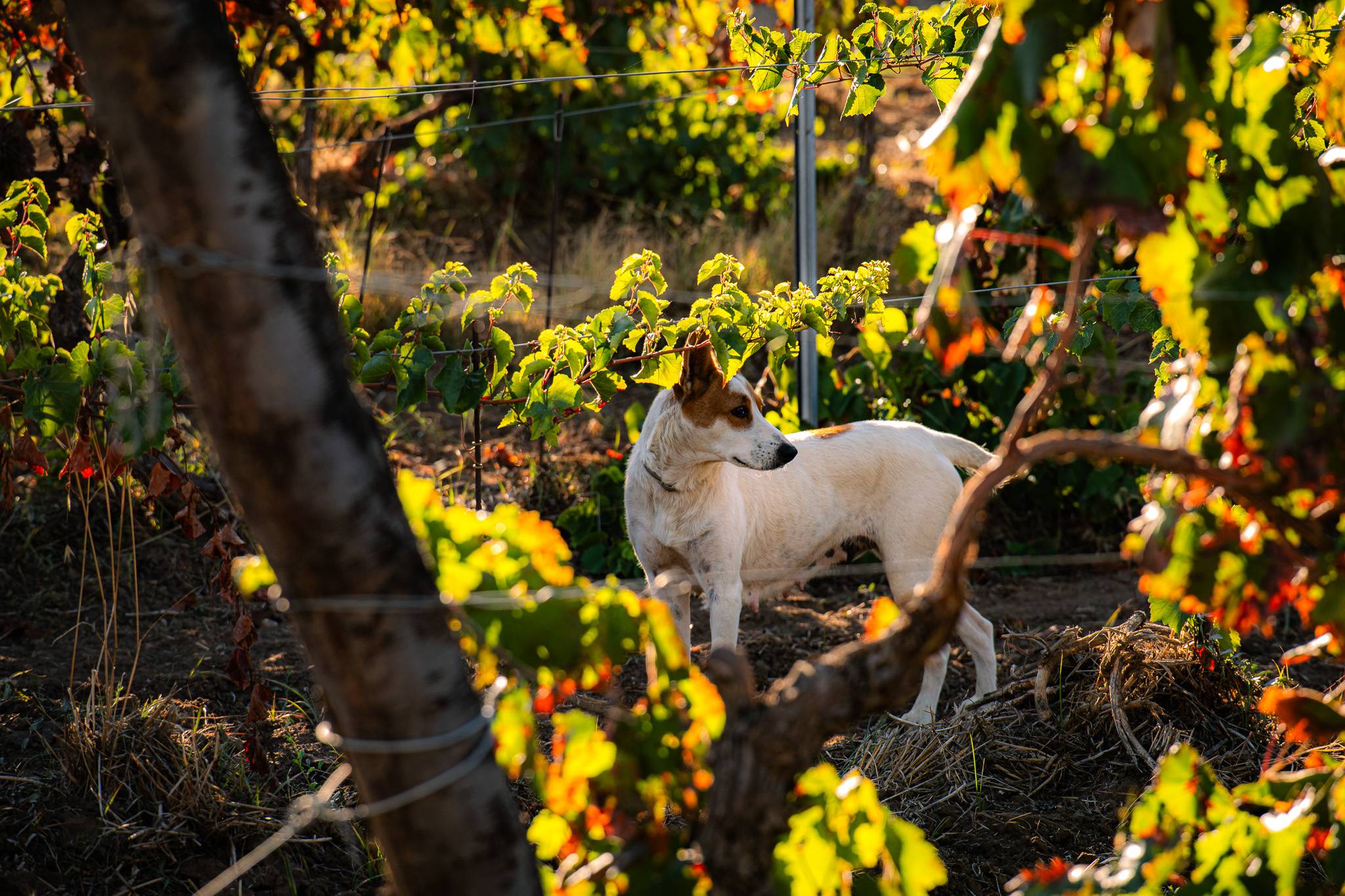 Valle delle Ferle Masterclass