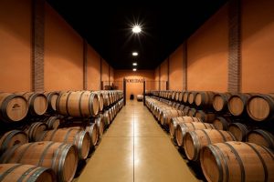 BOHEDAL BODEGA BOUTIQUE