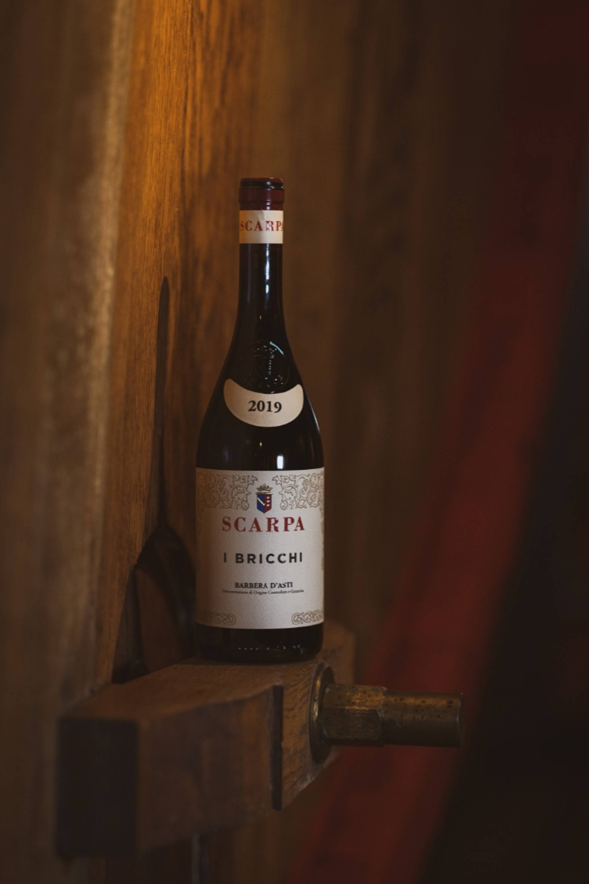 Three expressions of Barbera