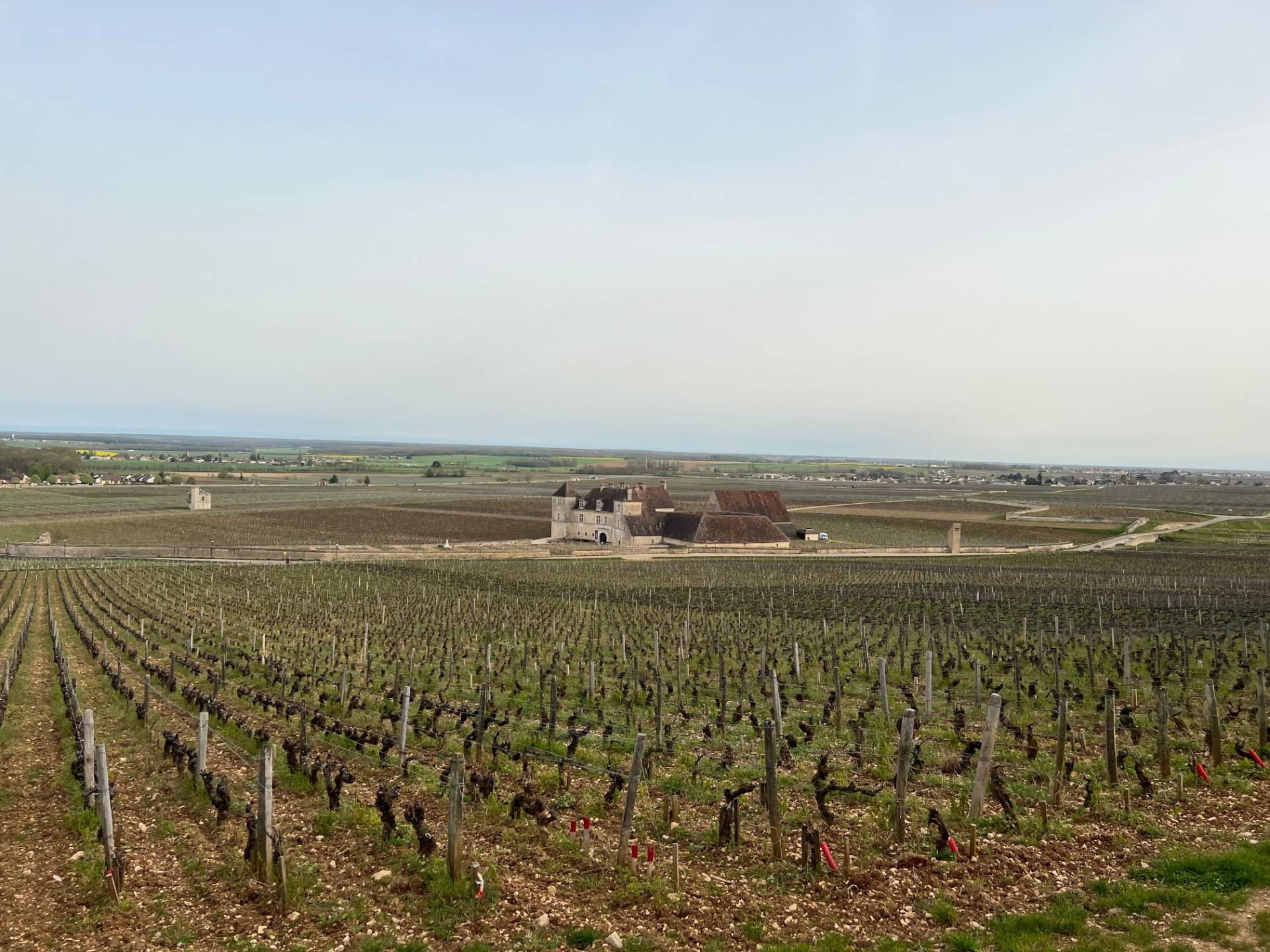 4-hour excursion to the Côte de Nuits with tasting
