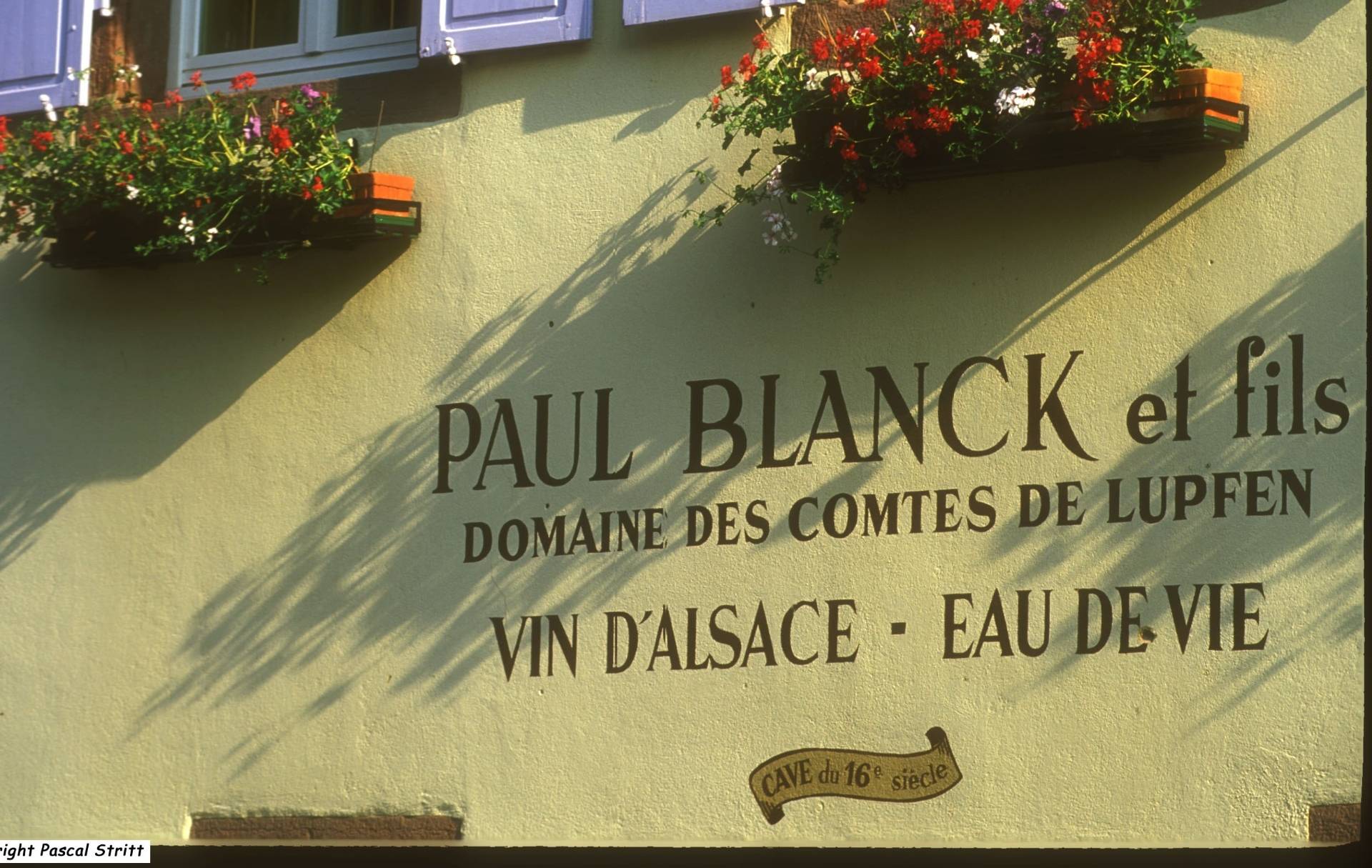 DOMAINE PAUL BLANCK