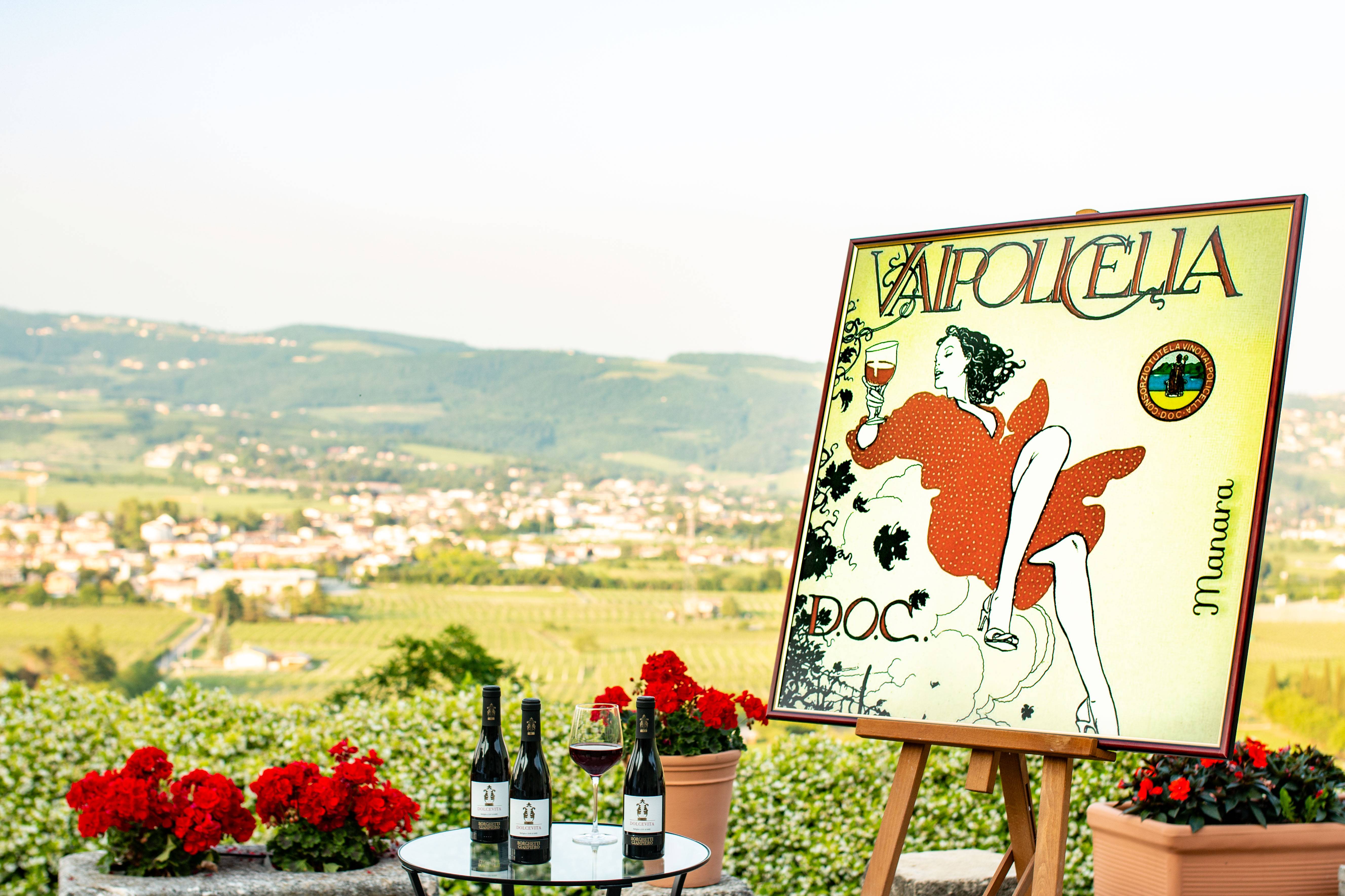 Wine tasting and panoramic view of Valpolicella