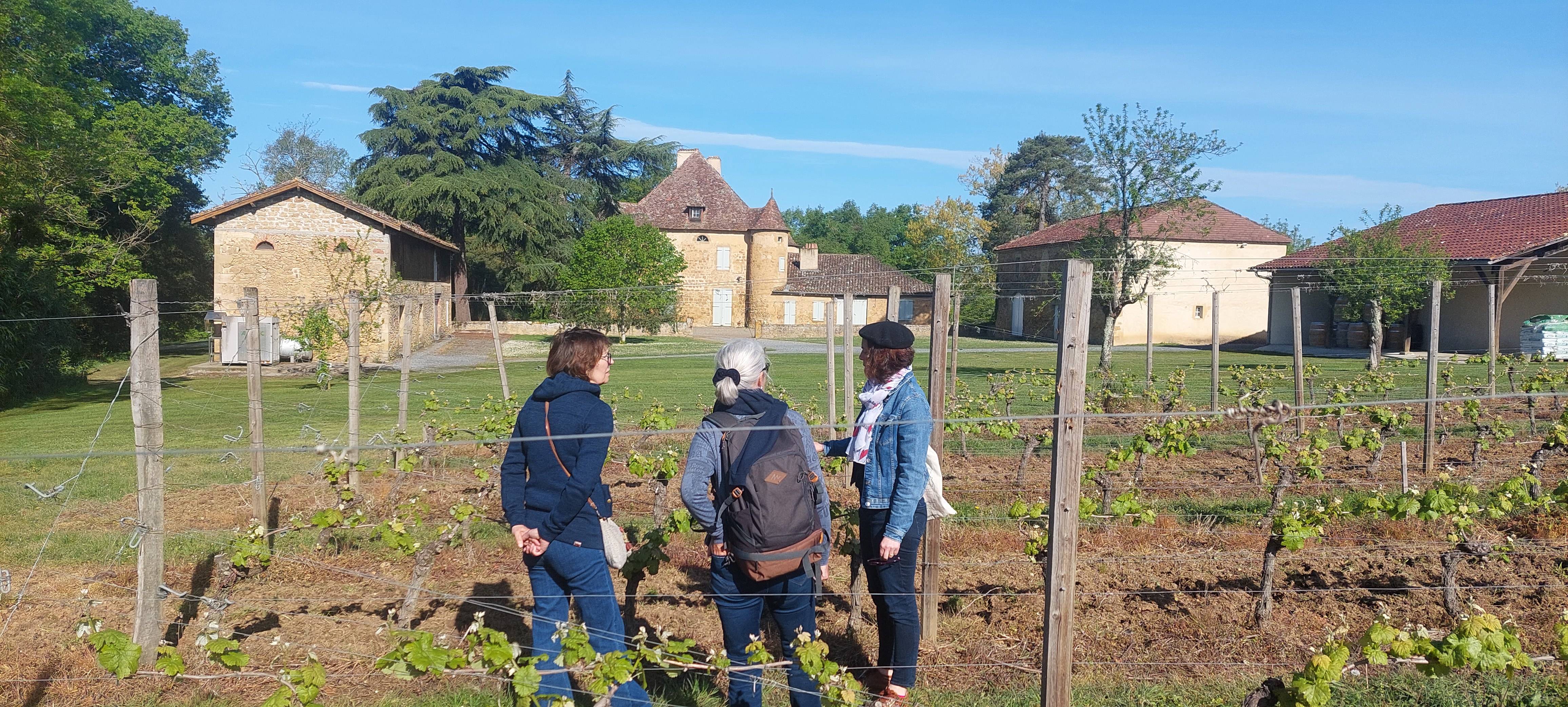 Barrel tasting and vertical tasting of Château Sabazan