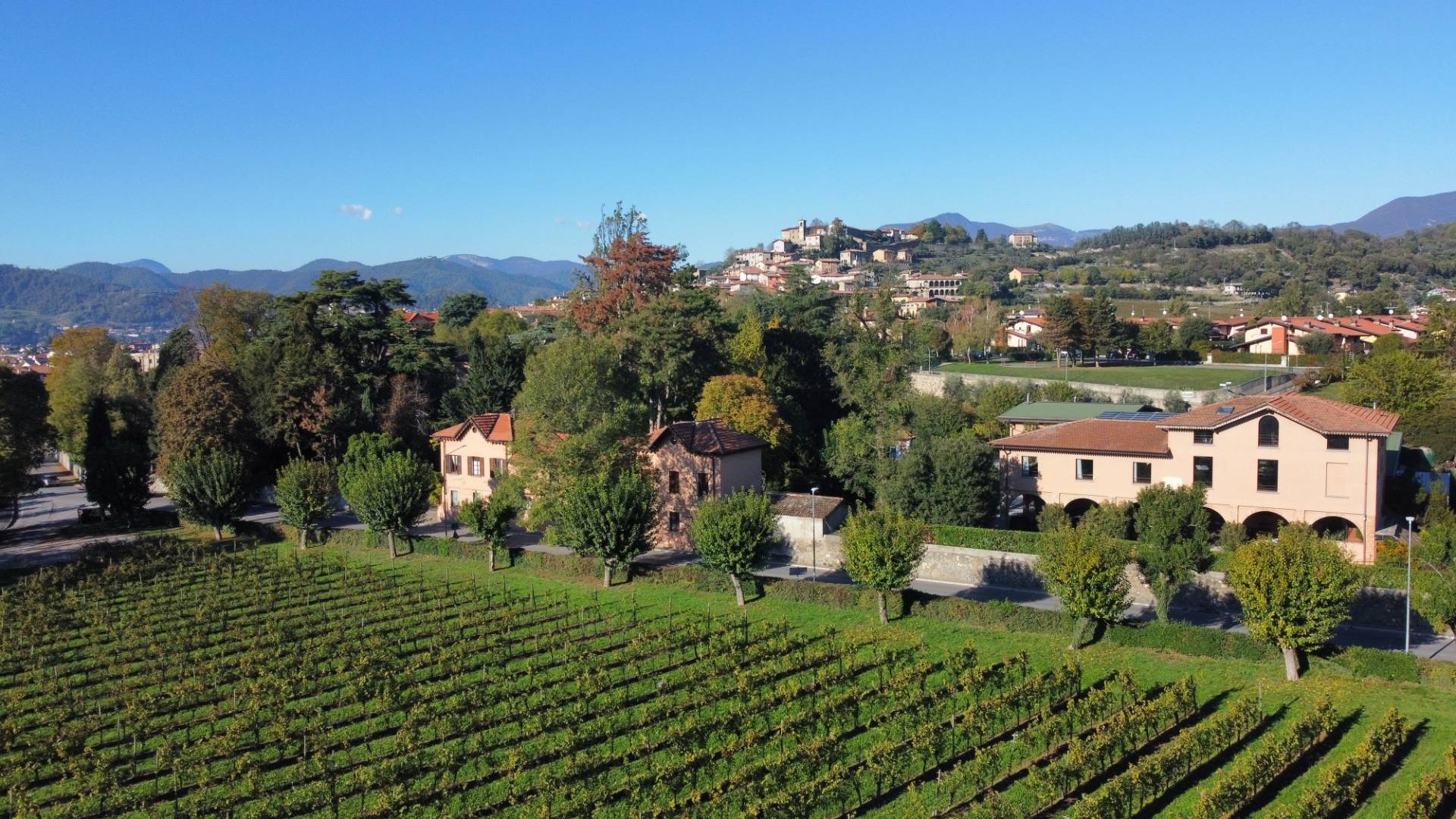 RICCI CURBASTRO AZIENDA AGRICOLA