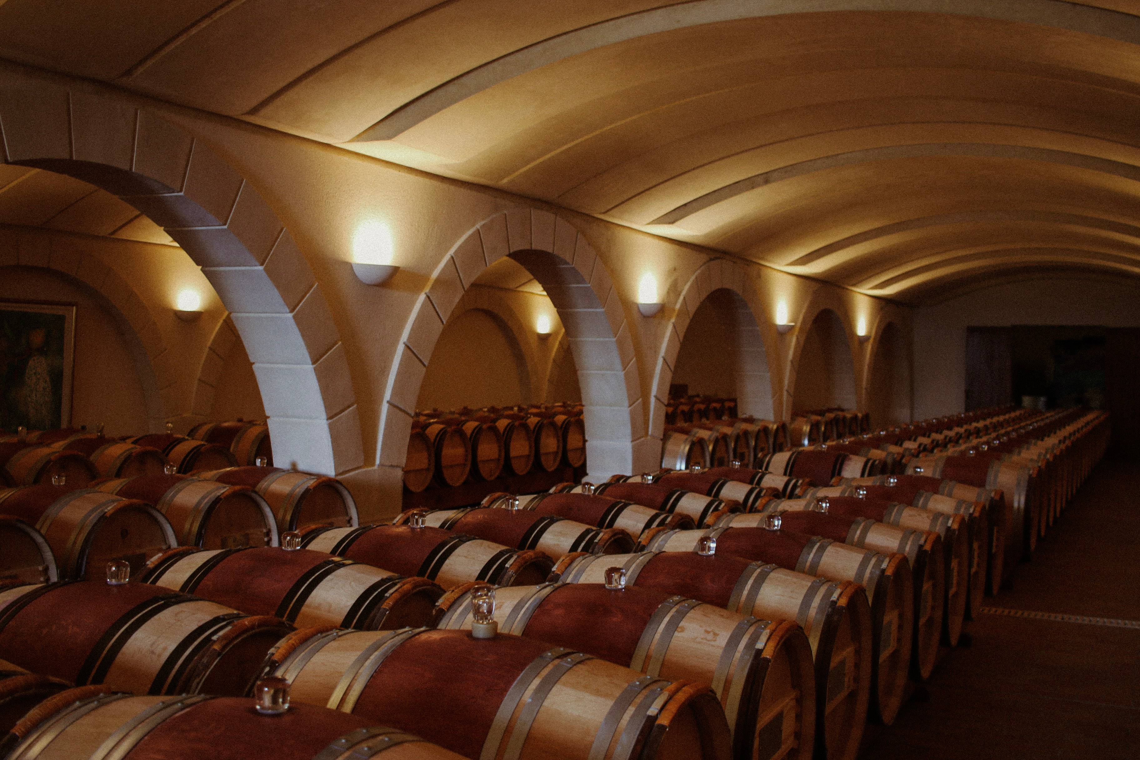 Visit Chatonnet Vineyards