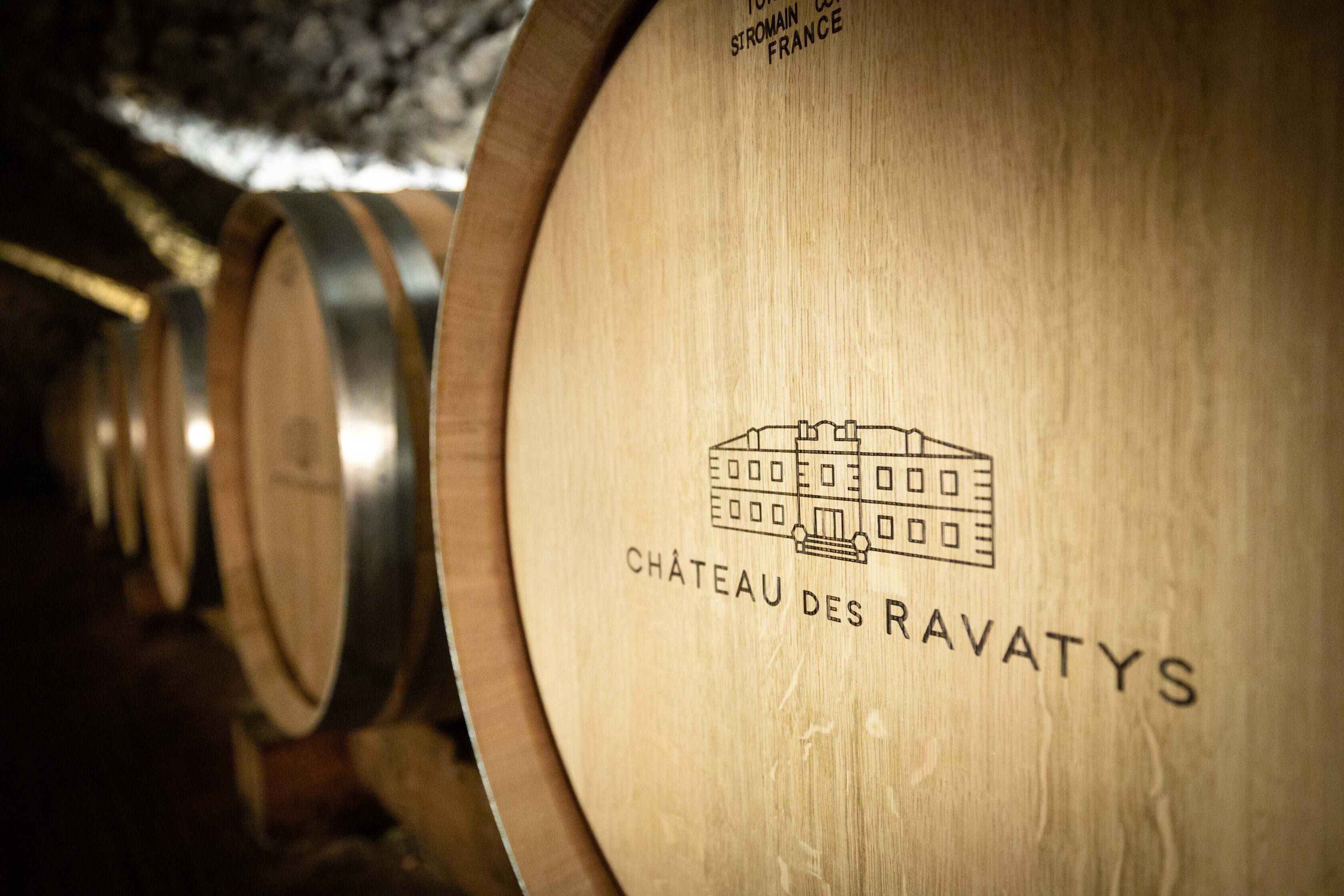 Cellar visit and tasting