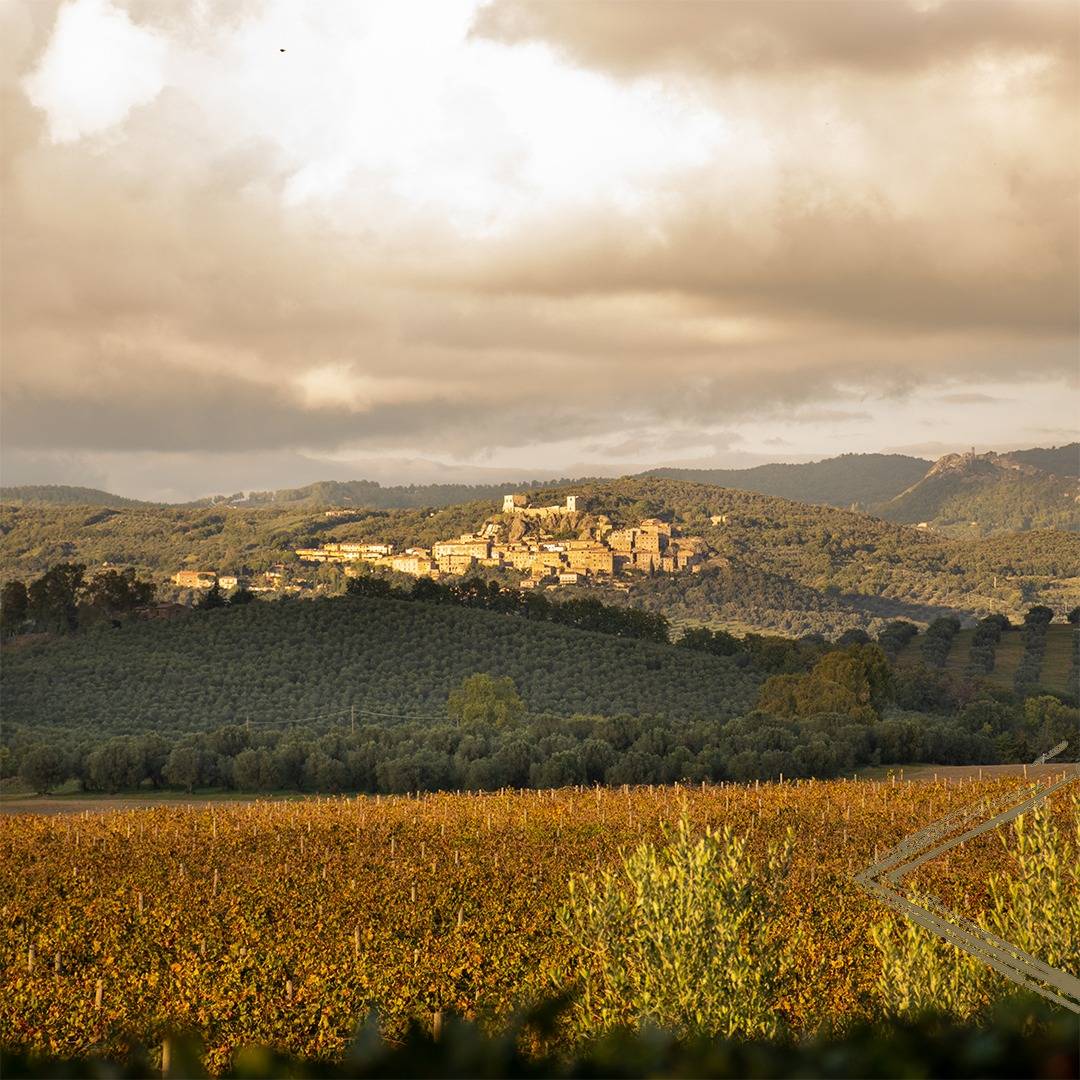 Premium Tour & Tasting