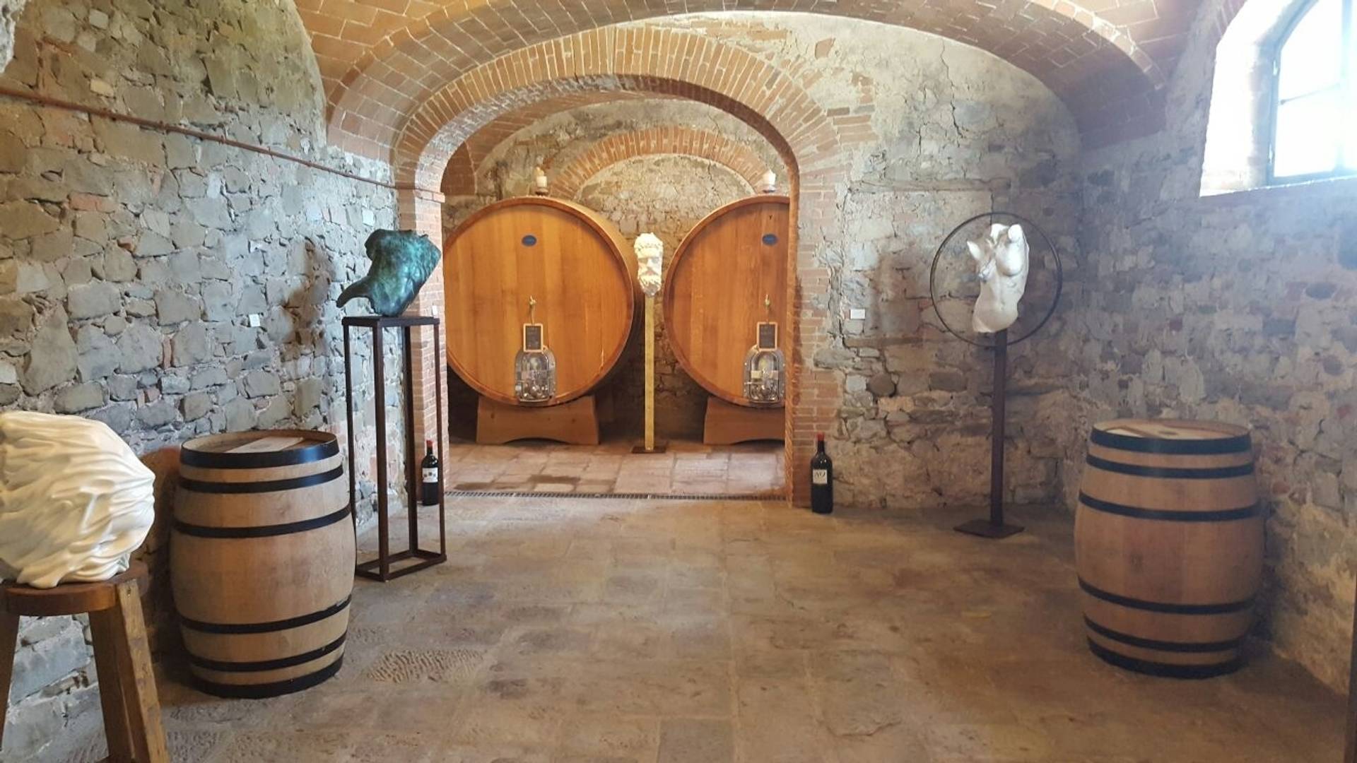 Premium Wine Tasting