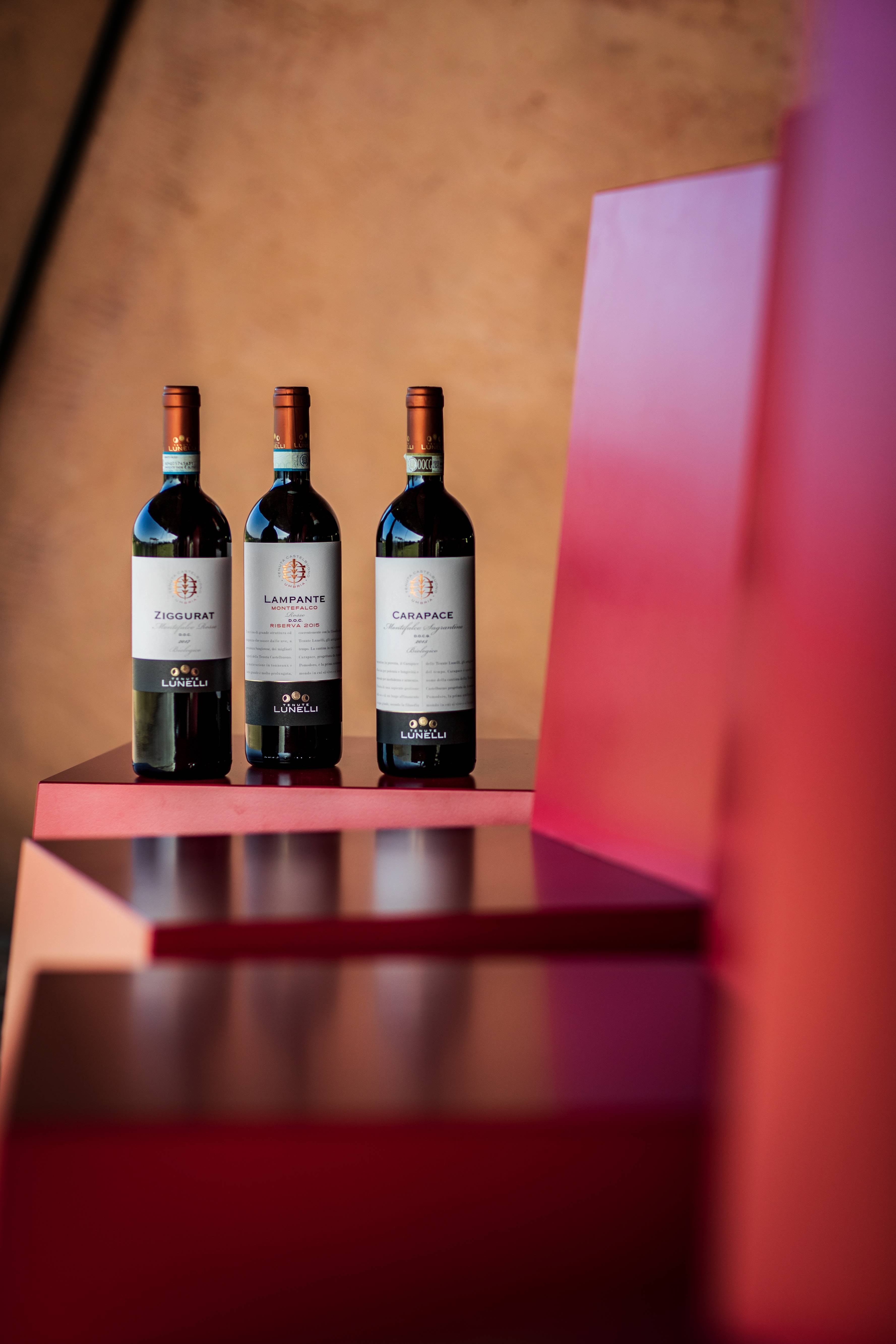 A journey into the world of art and wine