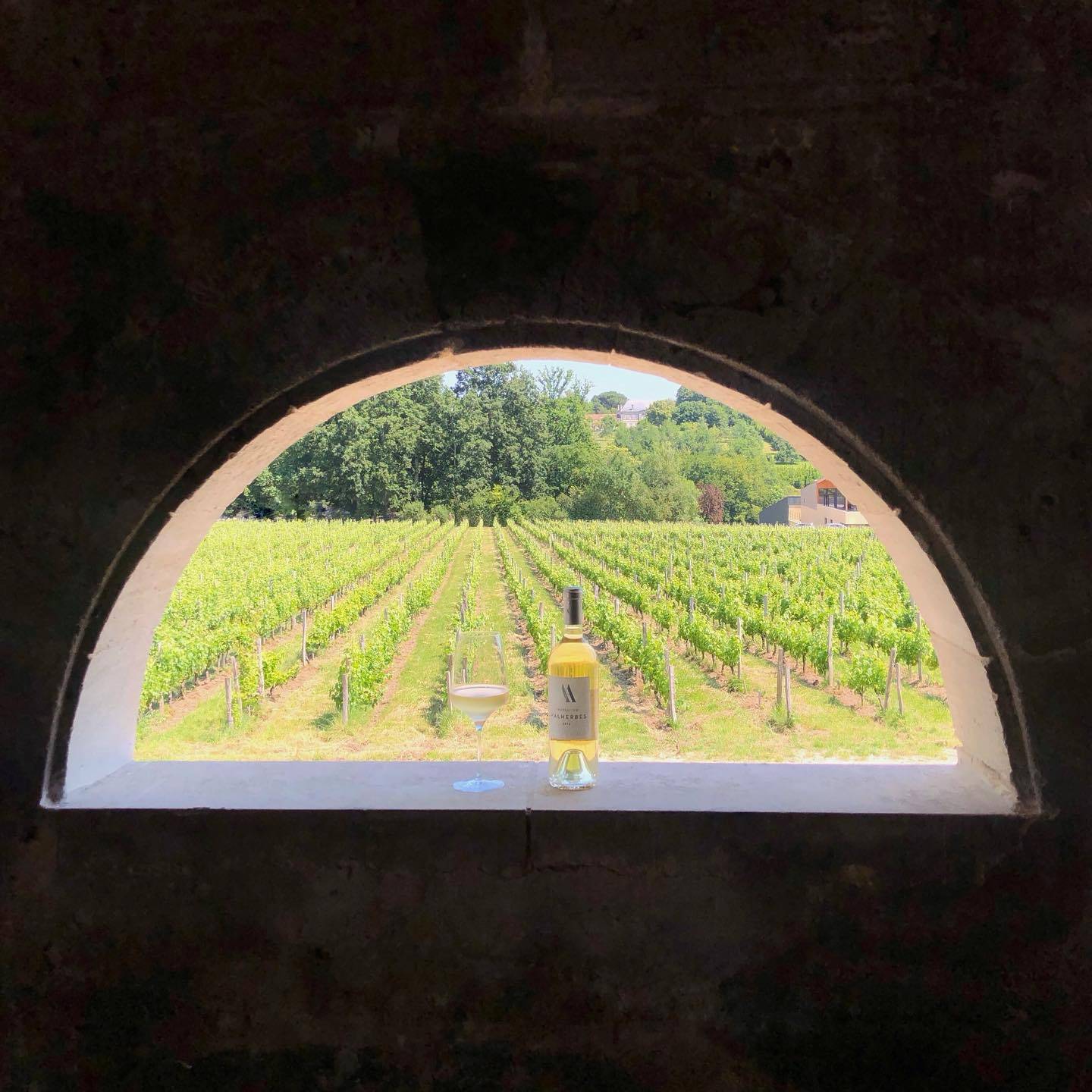 Visit to the heart of the Chai à Barriques