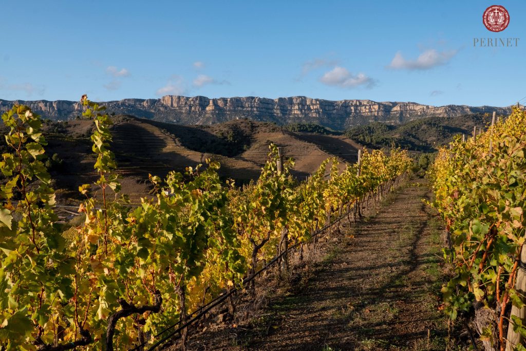 Classic Visit & Tasting