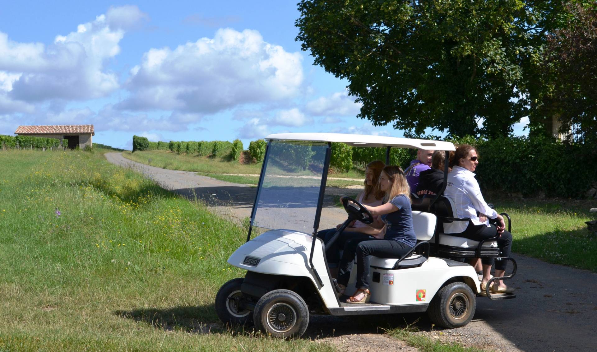 Discovery tour and wine tasting