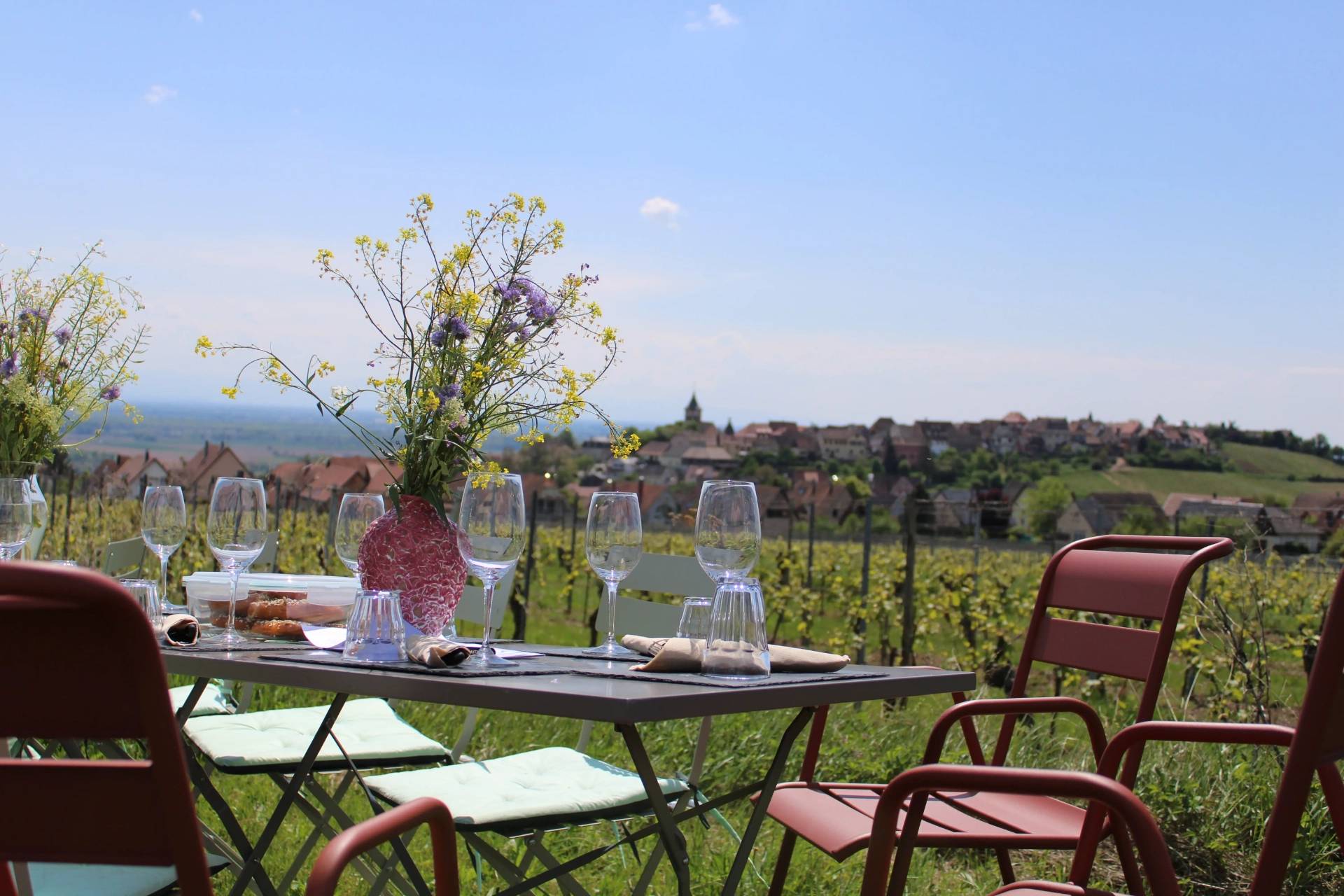 Bucolic lunch in the heart of the vineyards