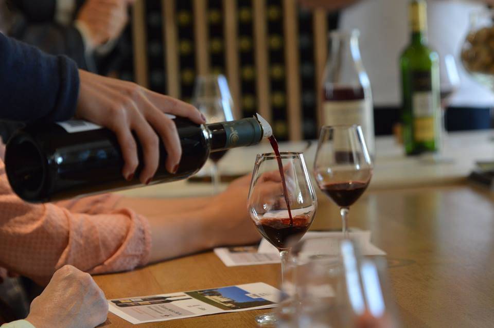Visit and tasting near Bordeaux