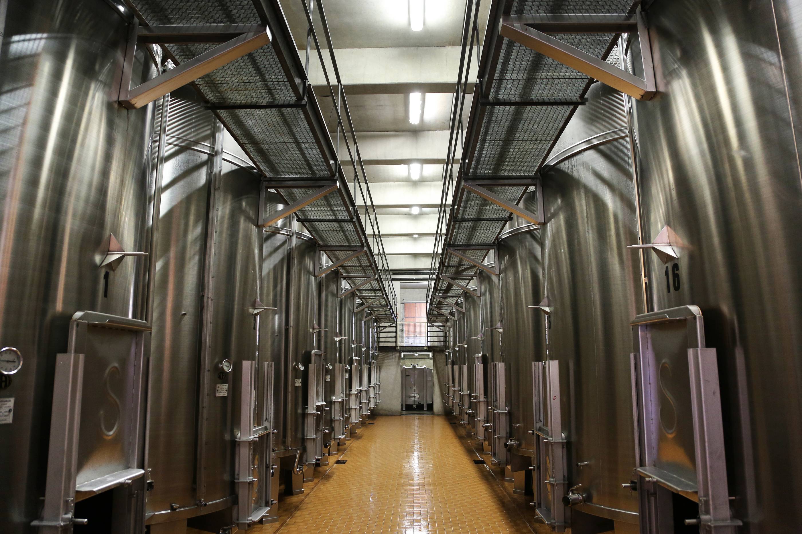 Visit and tasting 4 wines