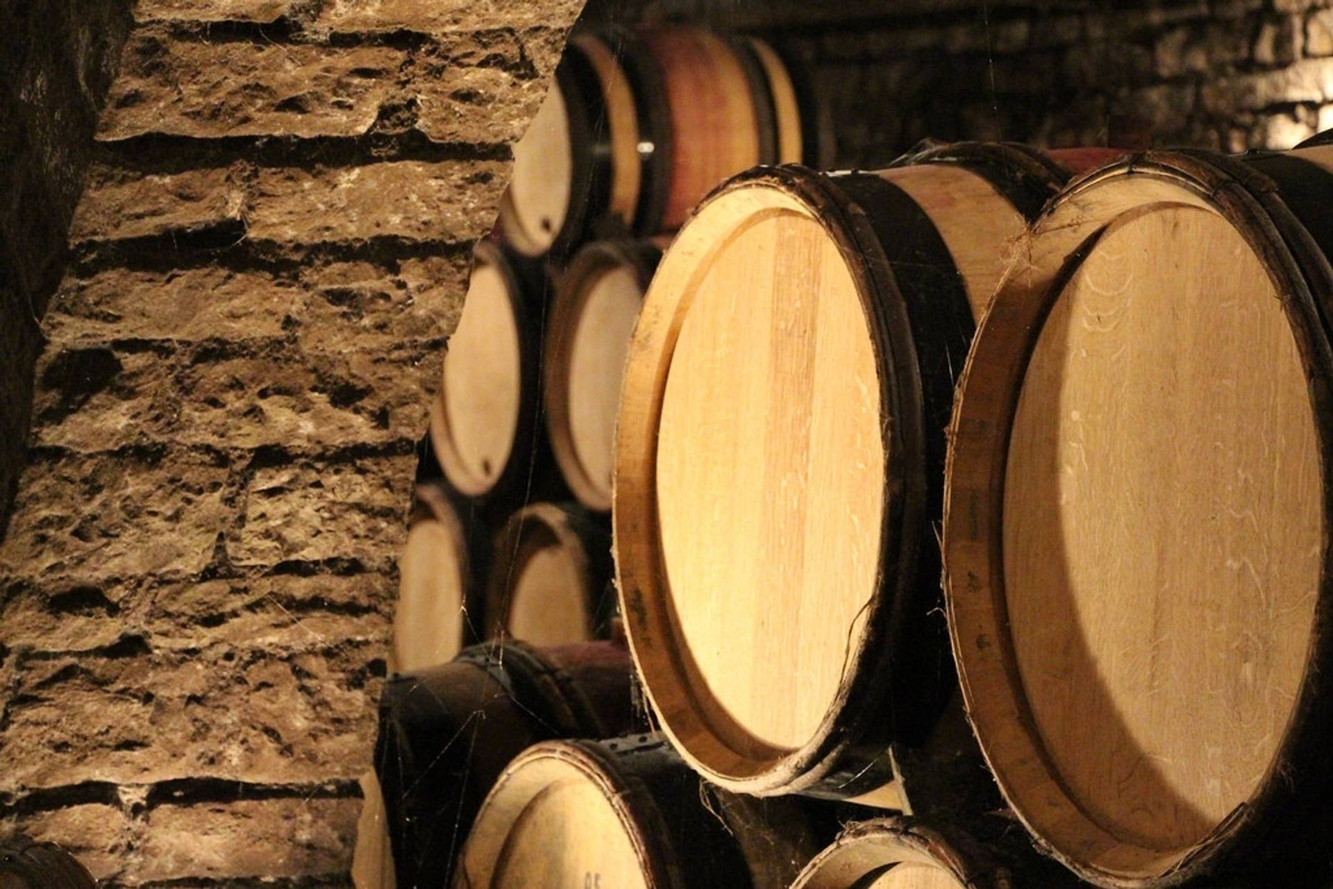 Winery visit & Tasting