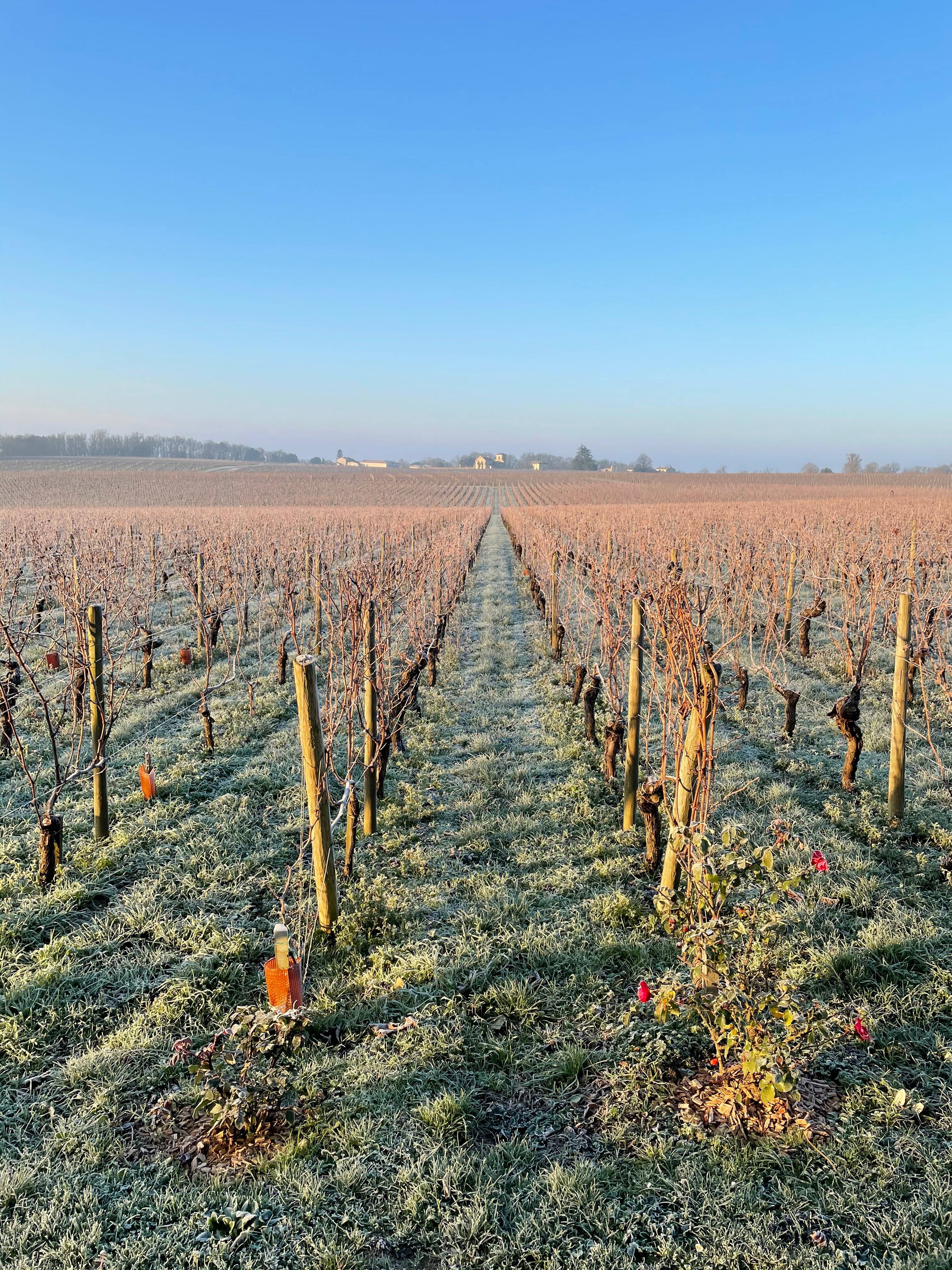 Discovery of the Destieux and Montlisse castles