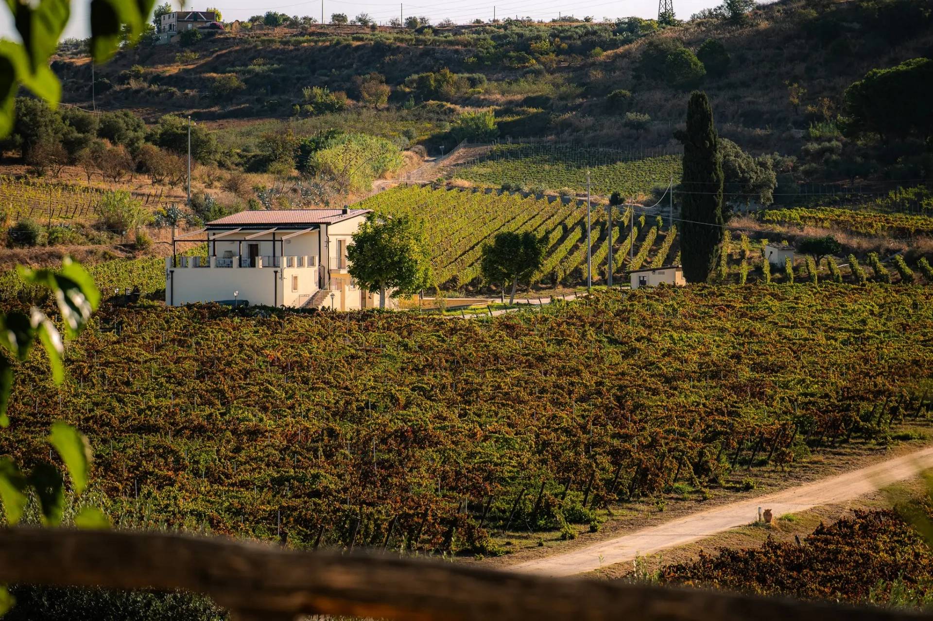 TENUTA VALLE DELLE FERLE