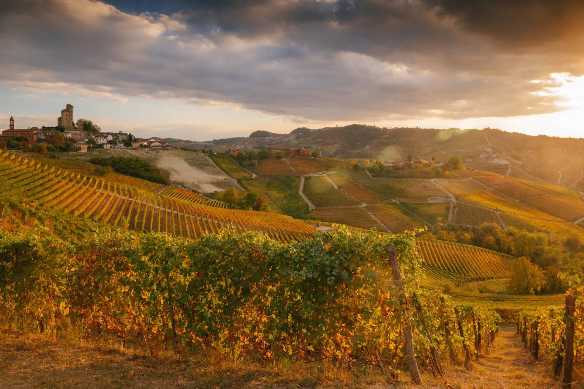 Visit with Panoramic Tasting