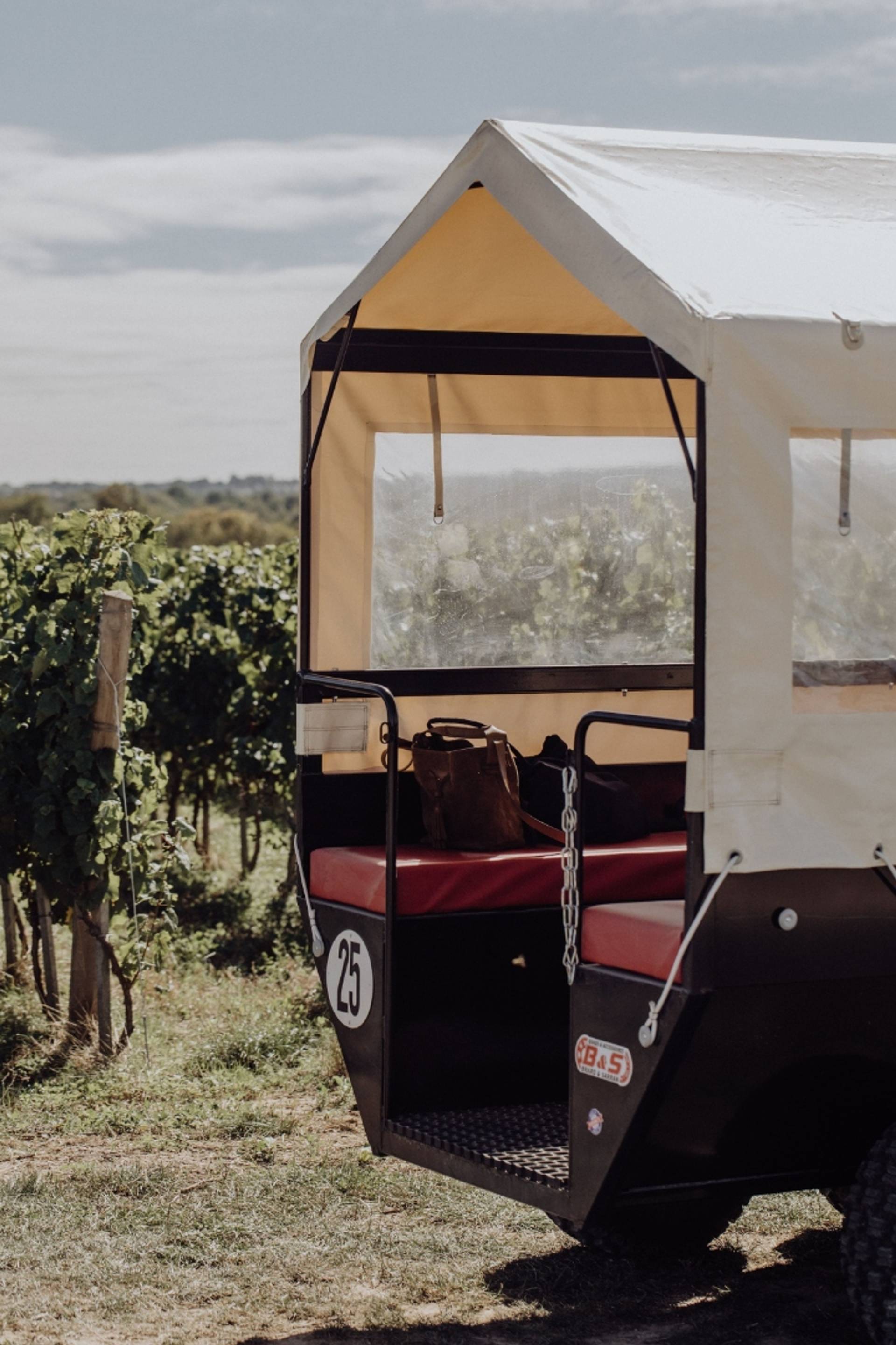 Estate tour & tasting (Sunday special)