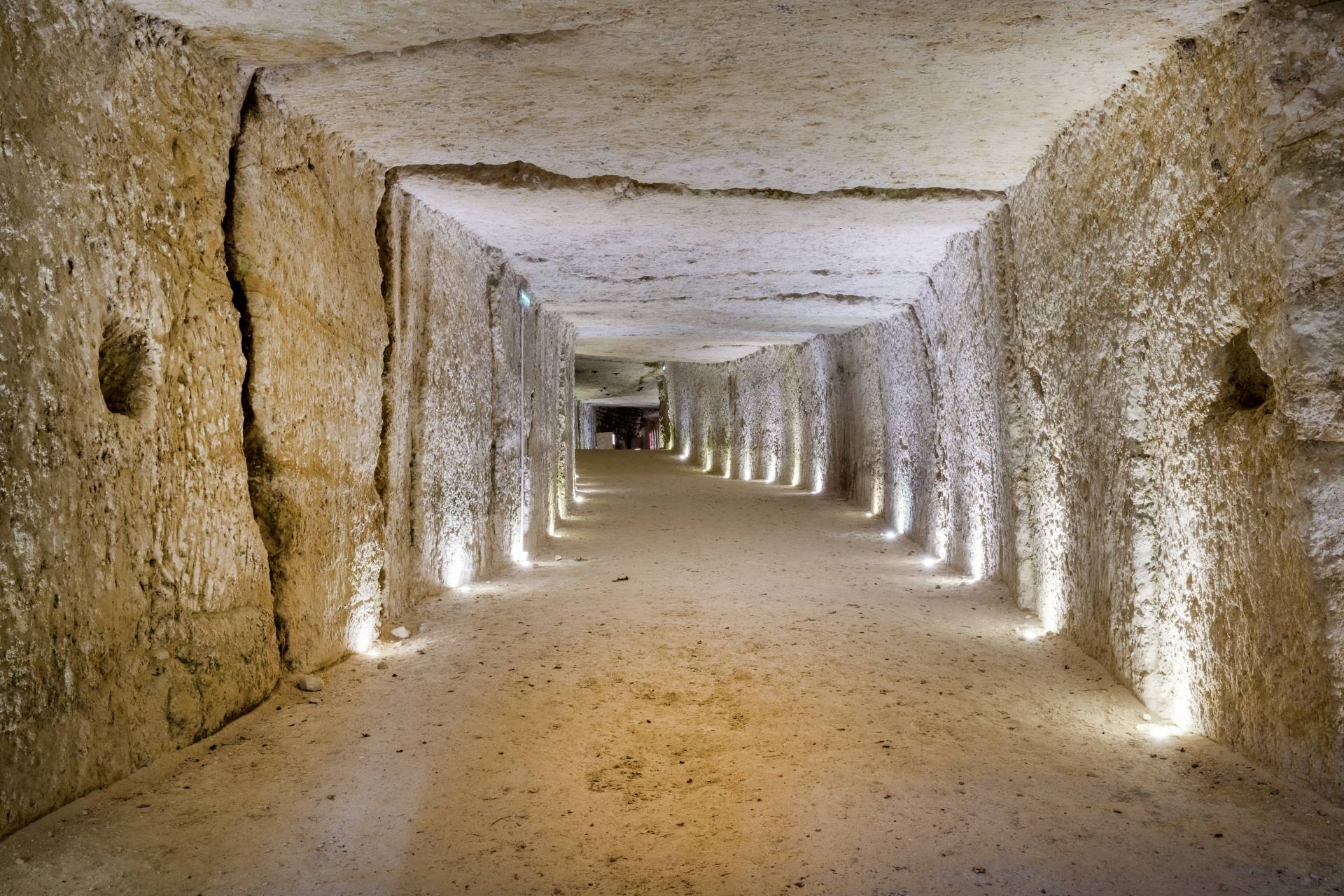 Guided tour and tasting