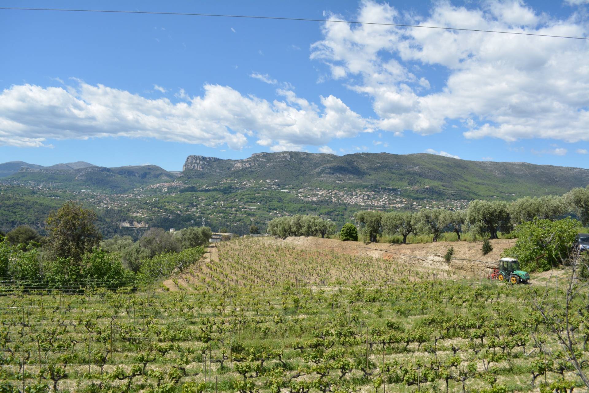 DOMAINE DE LA SOURCE