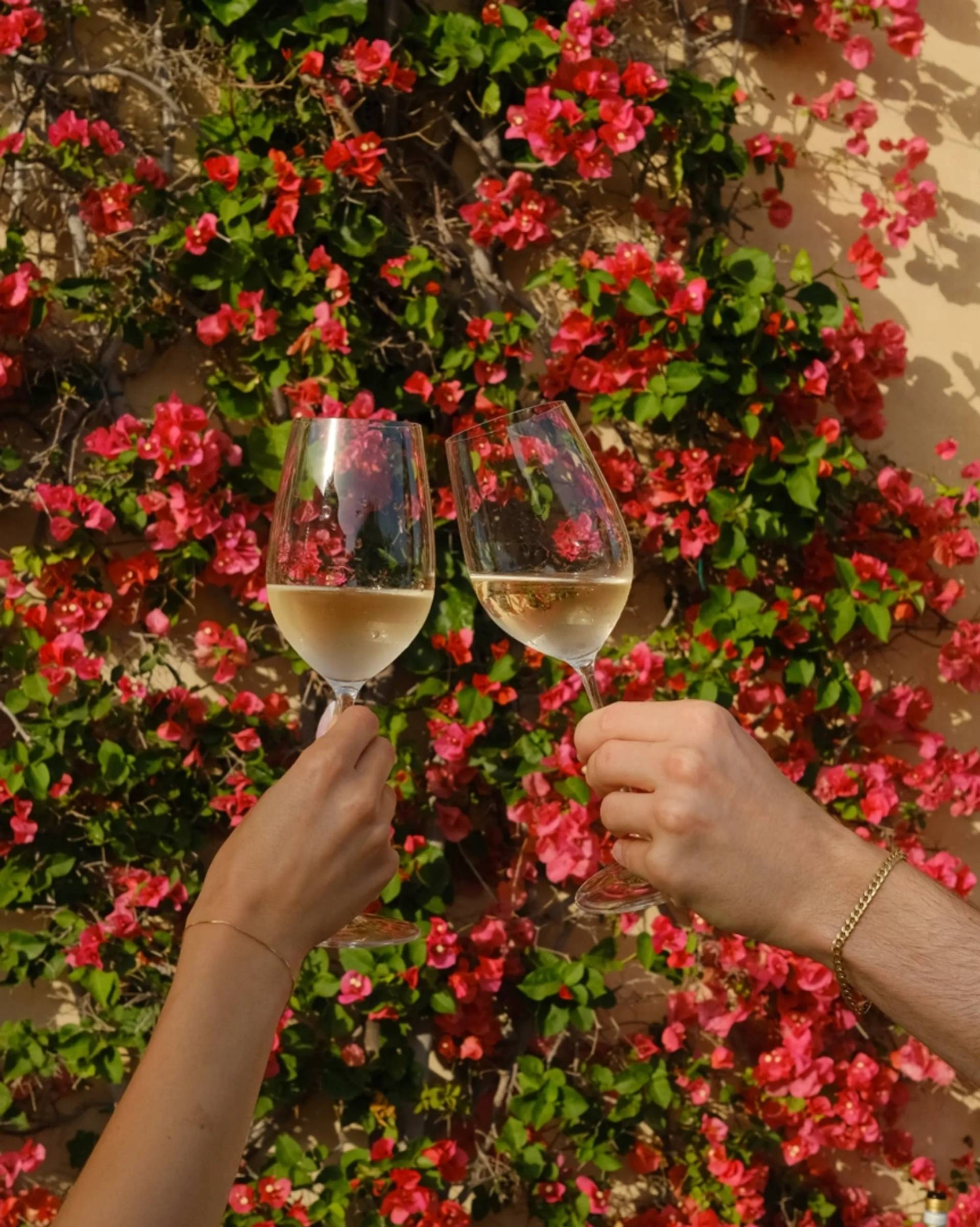 Sicilian Shades – the Wine Tasting