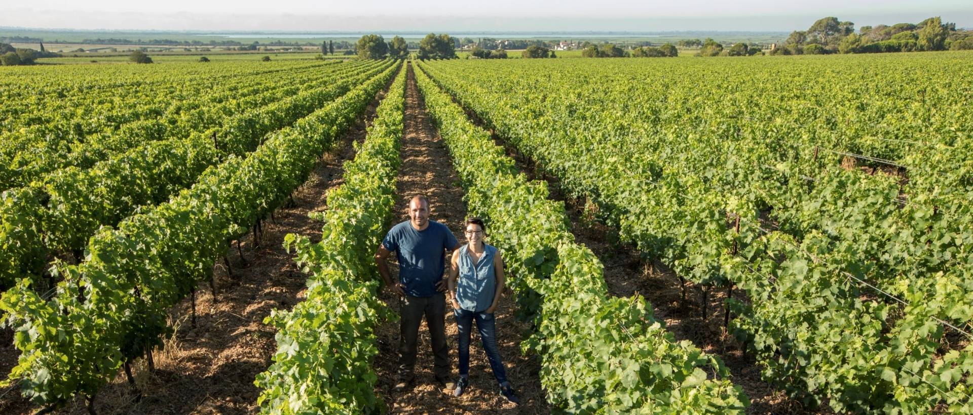 La Bulle Verte: Initiatory walk in the heart of the vineyards
