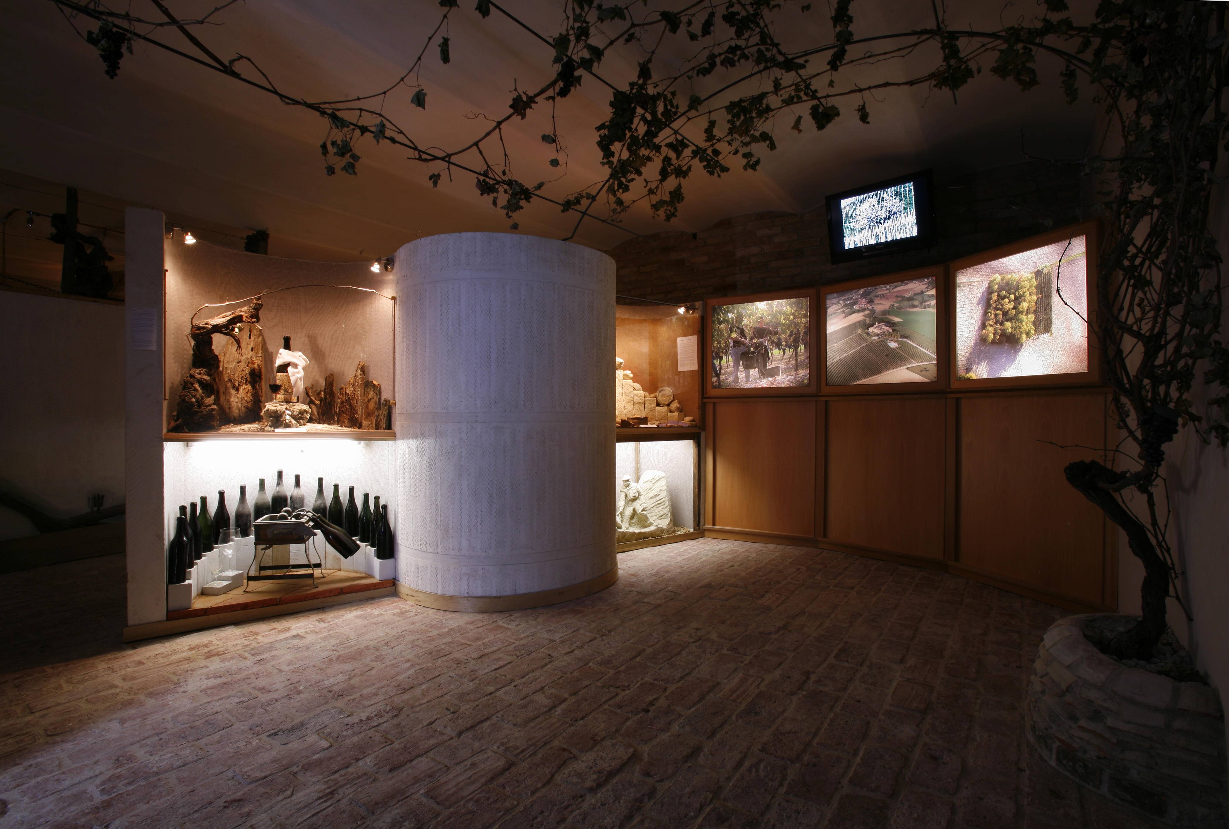 Visit to the museum and cellars with tasting