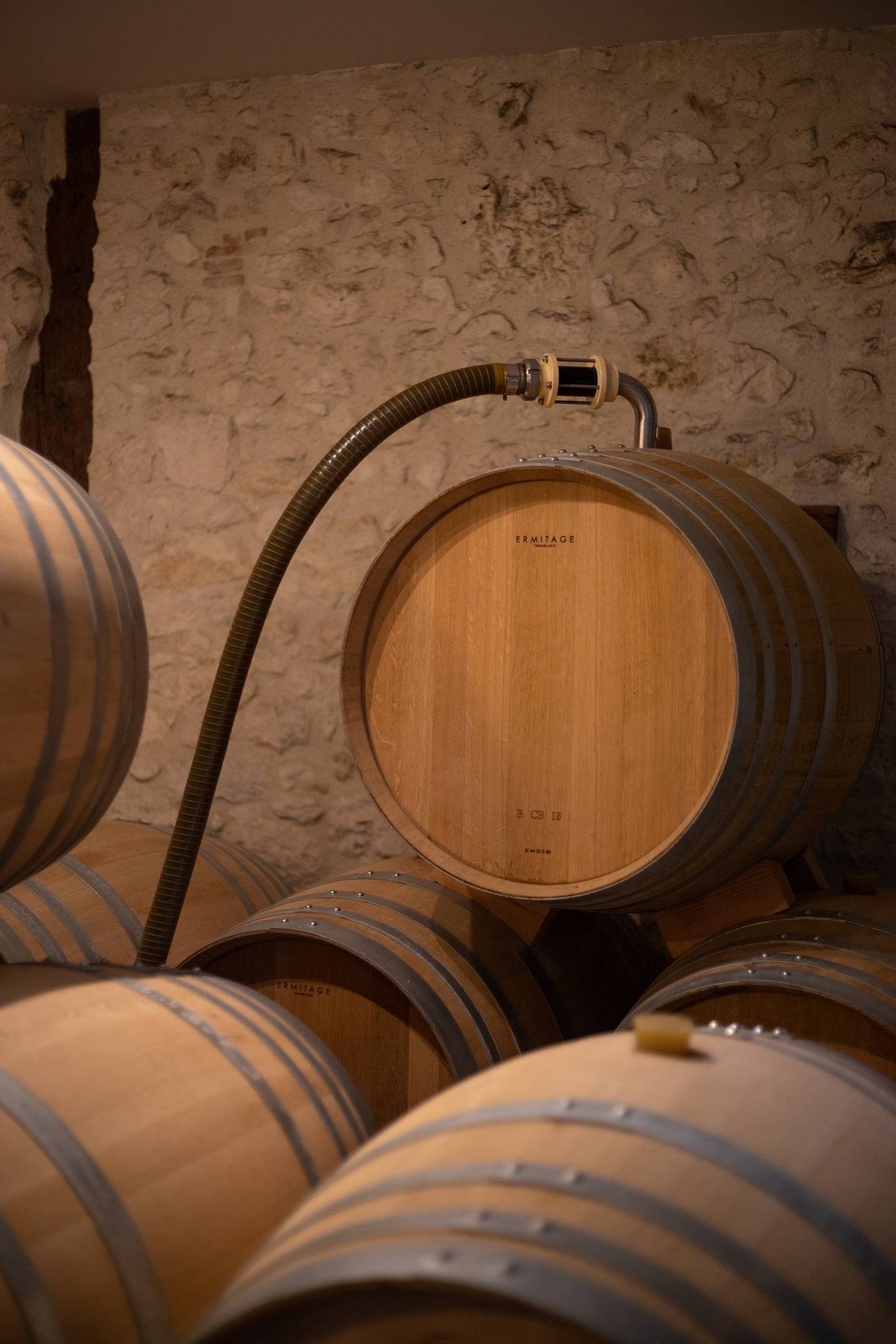 The visit, the Bergerac vineyard