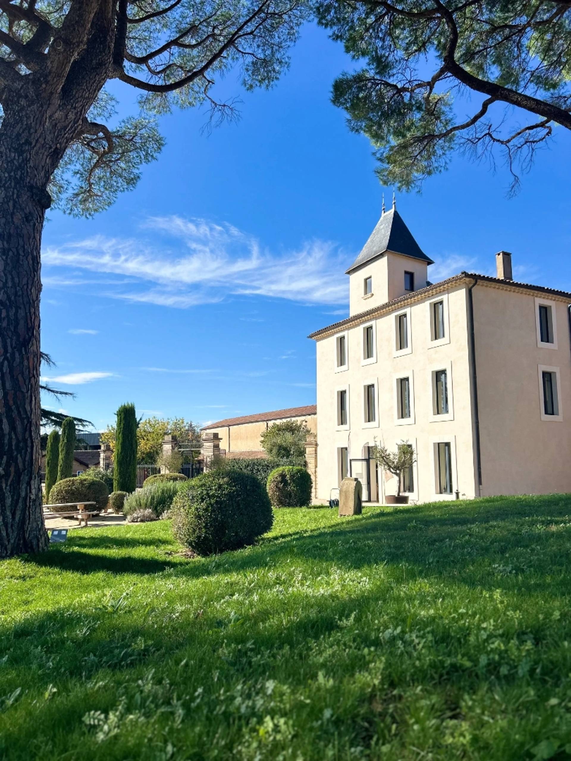 Wine Tasting Tour: In the heart of Languedoc