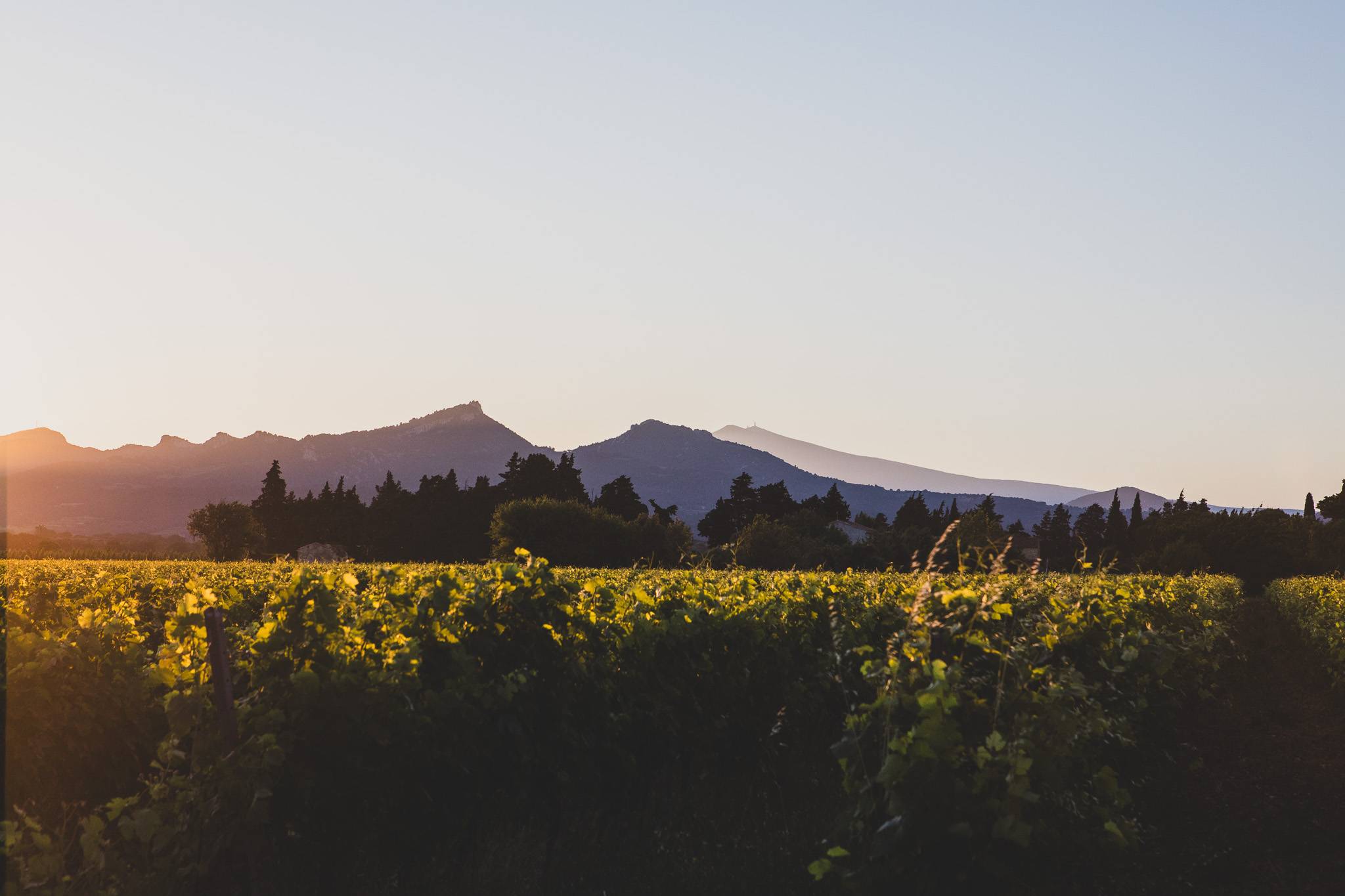 Introduction to tasting