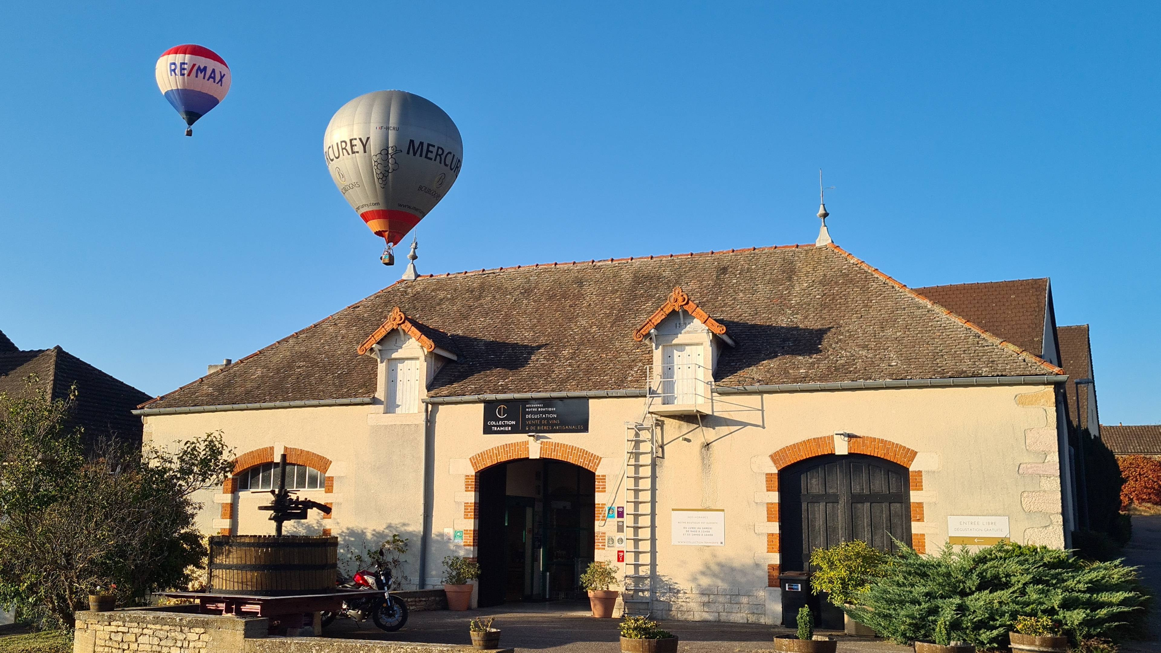 Exploration of Burgundy Grape Varieties