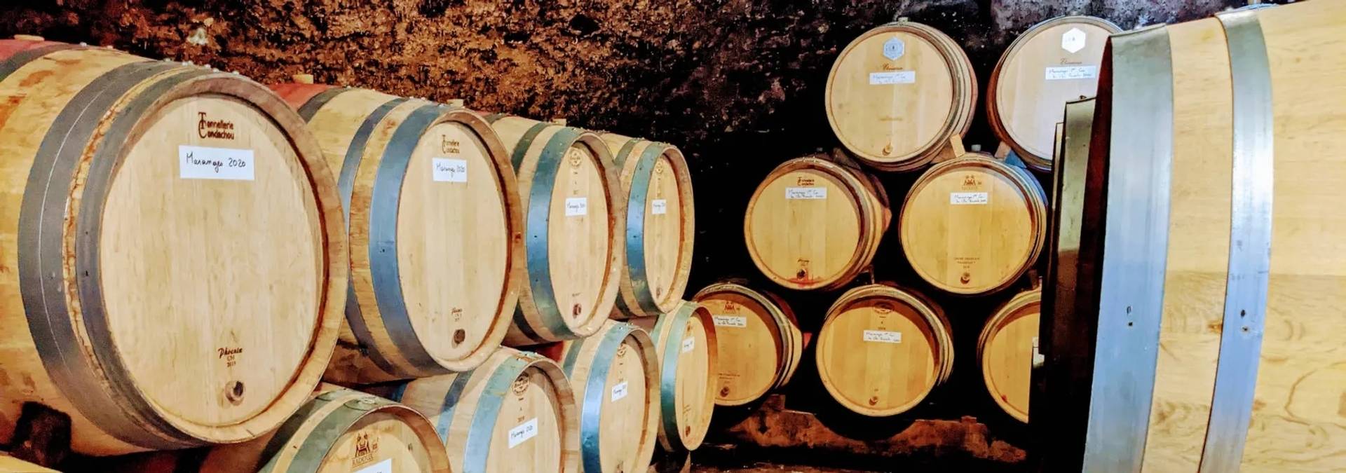 Visit & Tasting of 4 wines